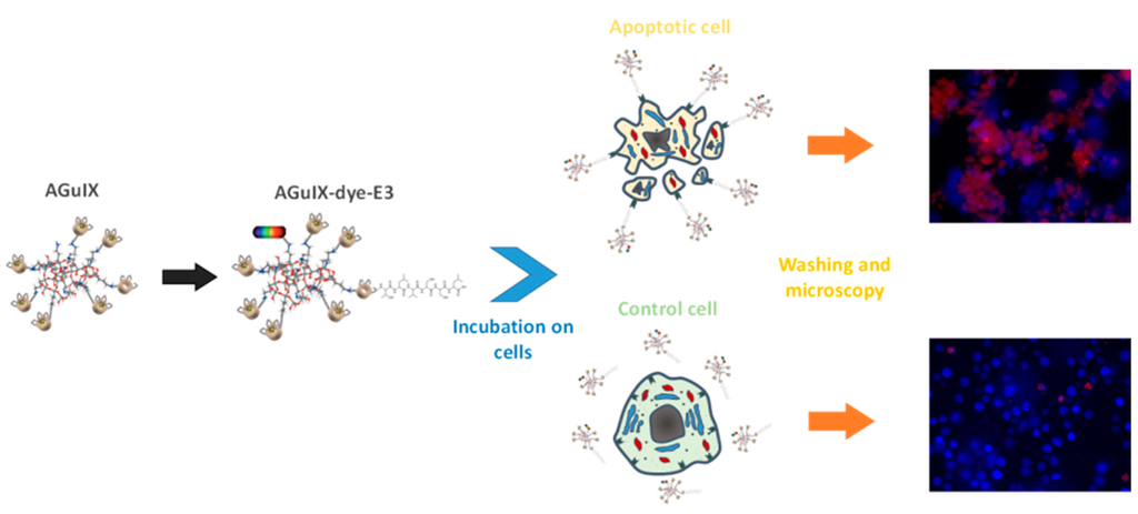 Pharmaceuticals 09 00014 g002 1024