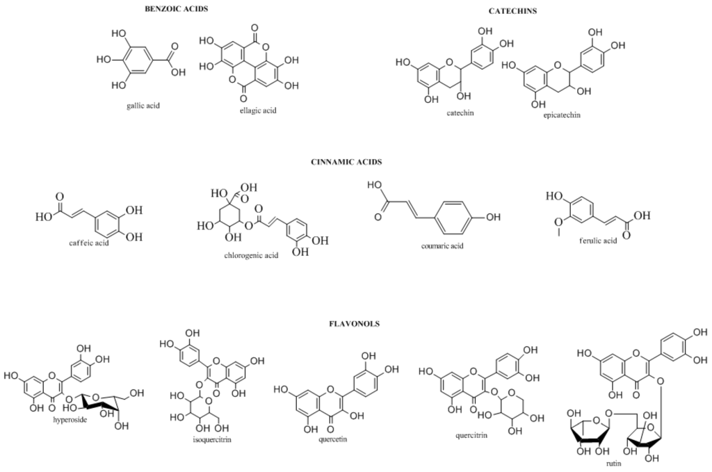 Pharmaceuticals 09 00014 g009 1024
