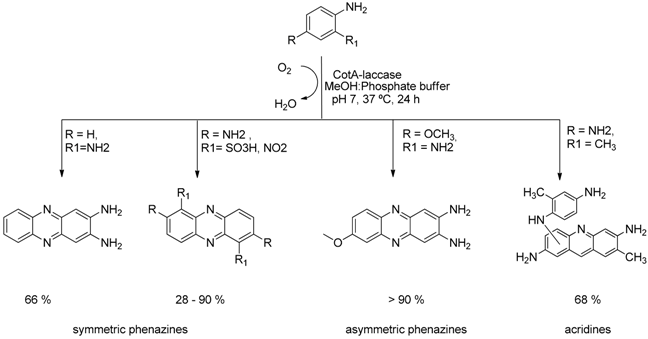 Pharmaceuticals 09 00015 i027