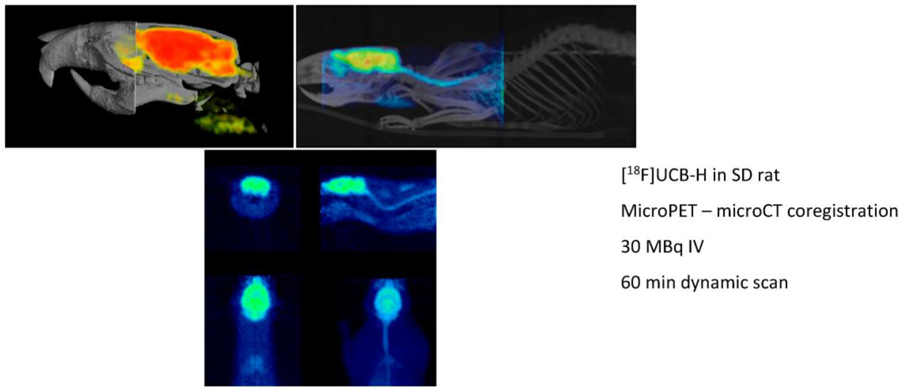 Pharmaceuticals 09 00073 i003