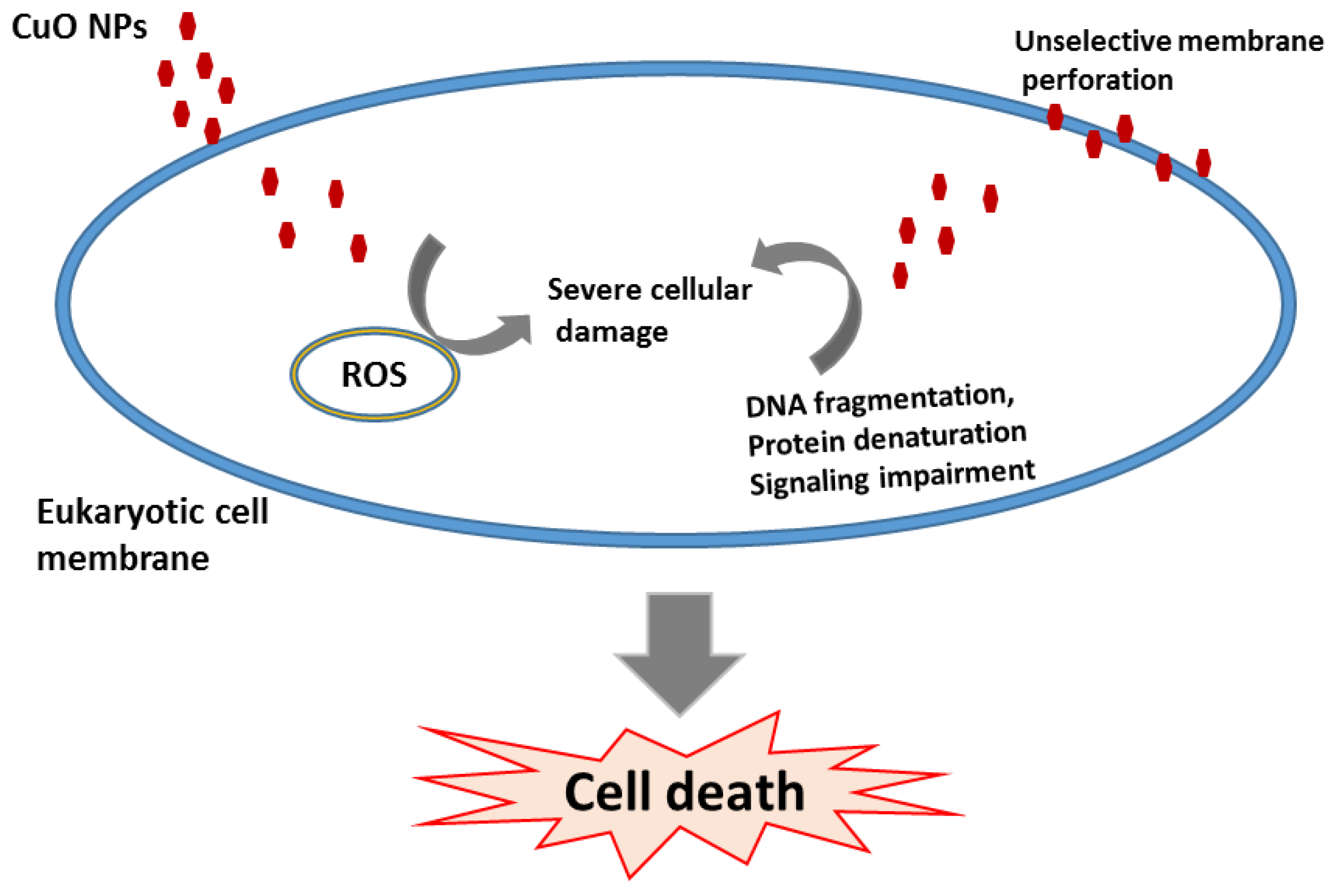 Pharmaceuticals 09 00075 g002