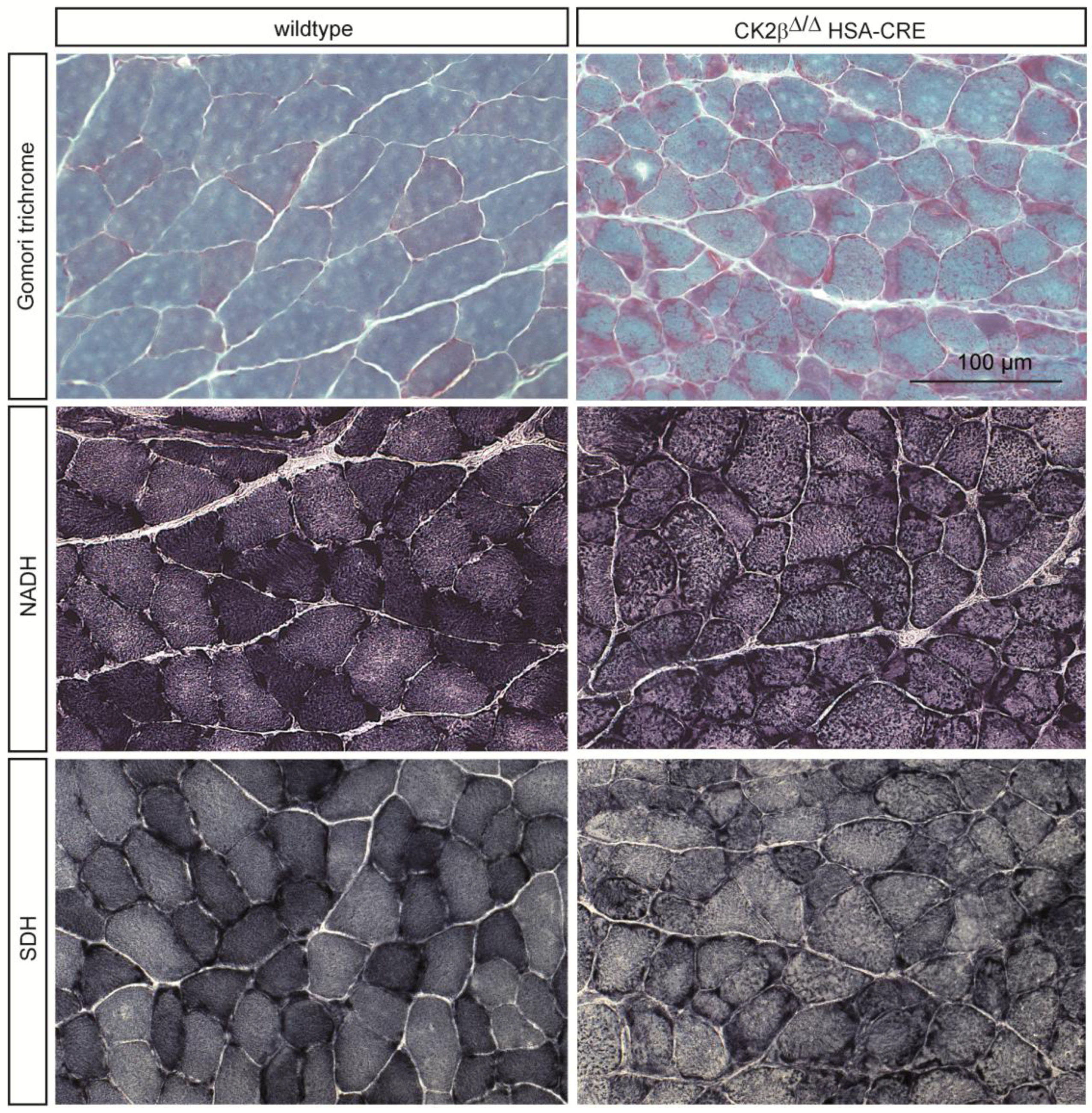 Pharmaceuticals 10 00013 g003