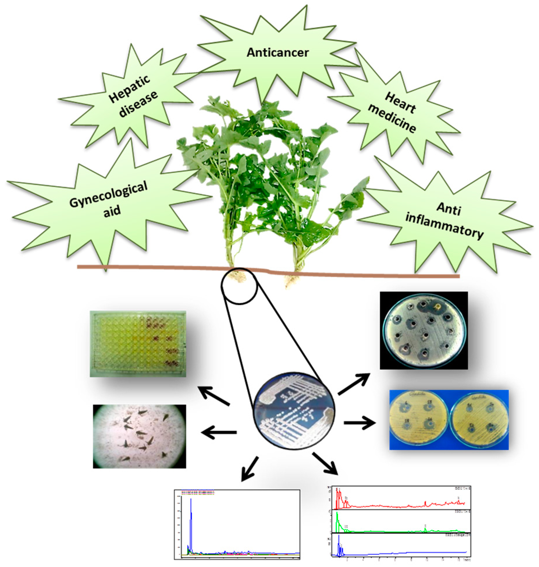Pharmaceuticals 10 00020 i001