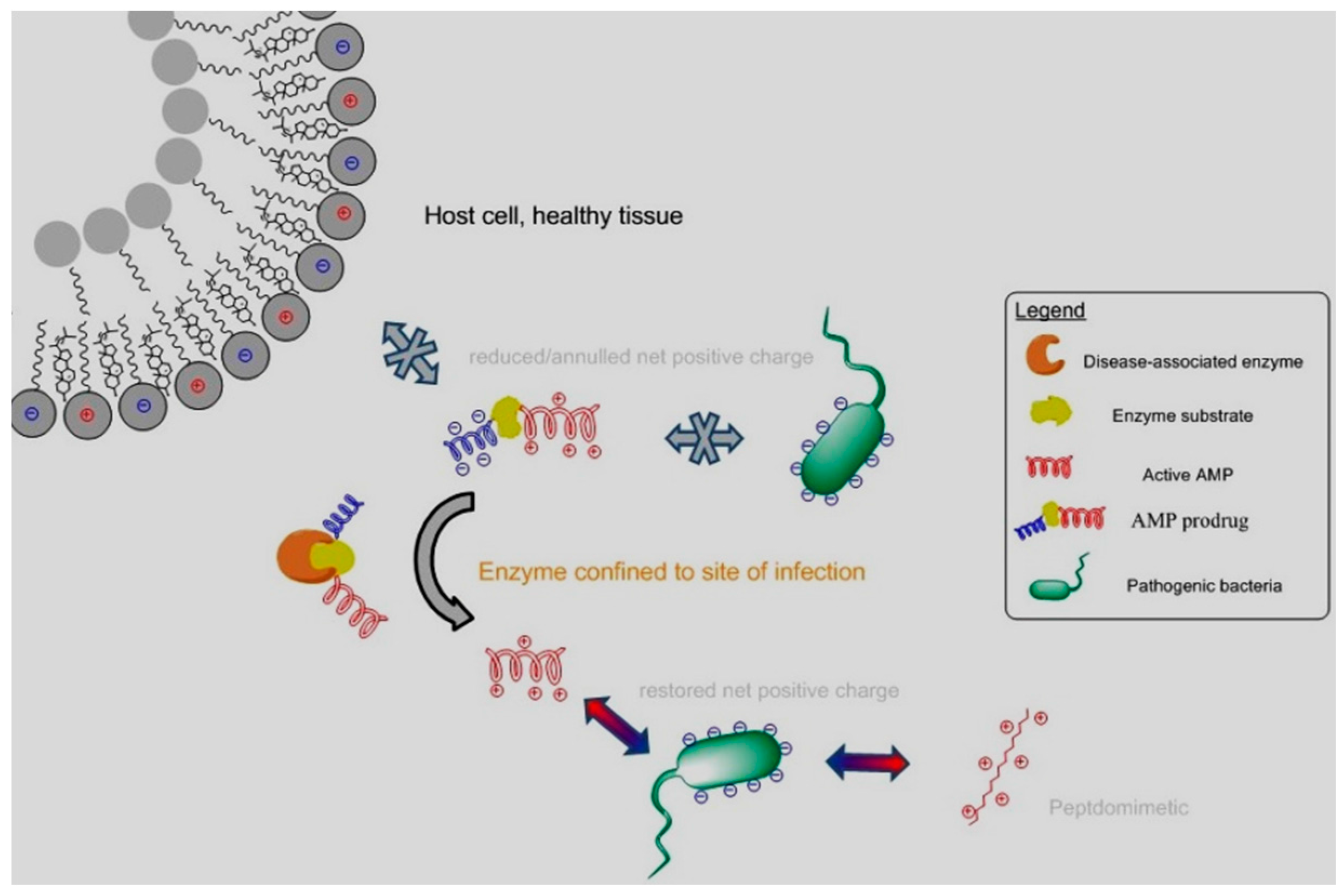 Pharmaceuticals 10 00020 i004