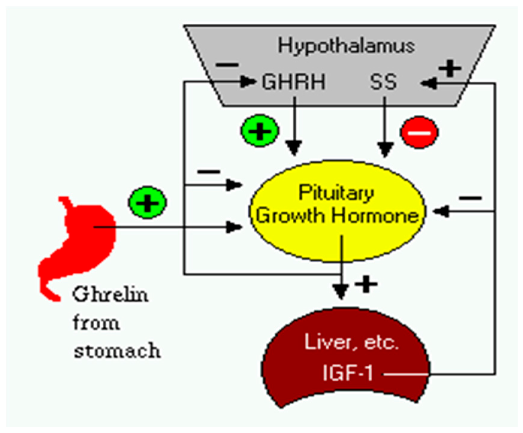 Pharmaceuticals 10 00020 i008