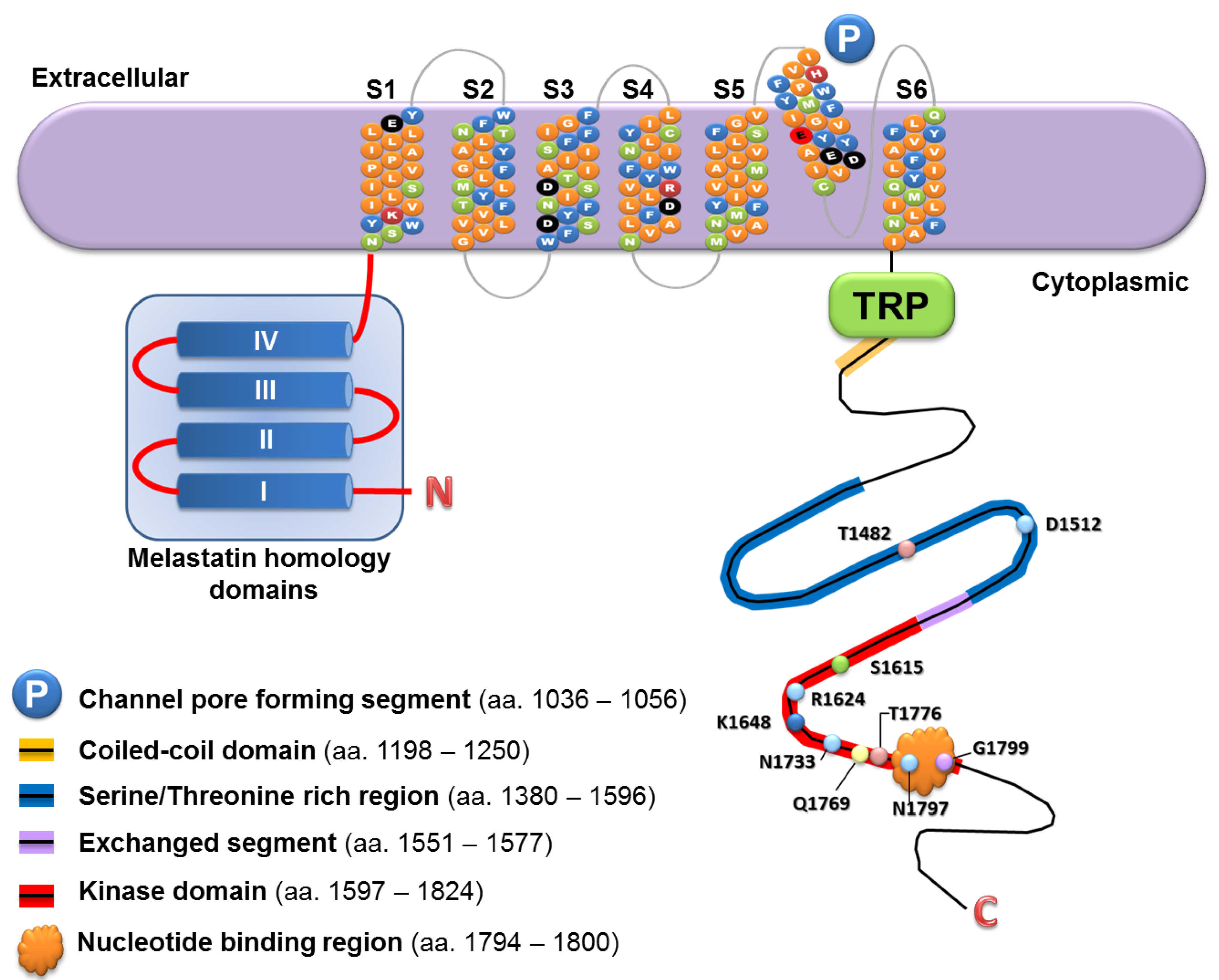 Pharmaceuticals 10 00039 g001