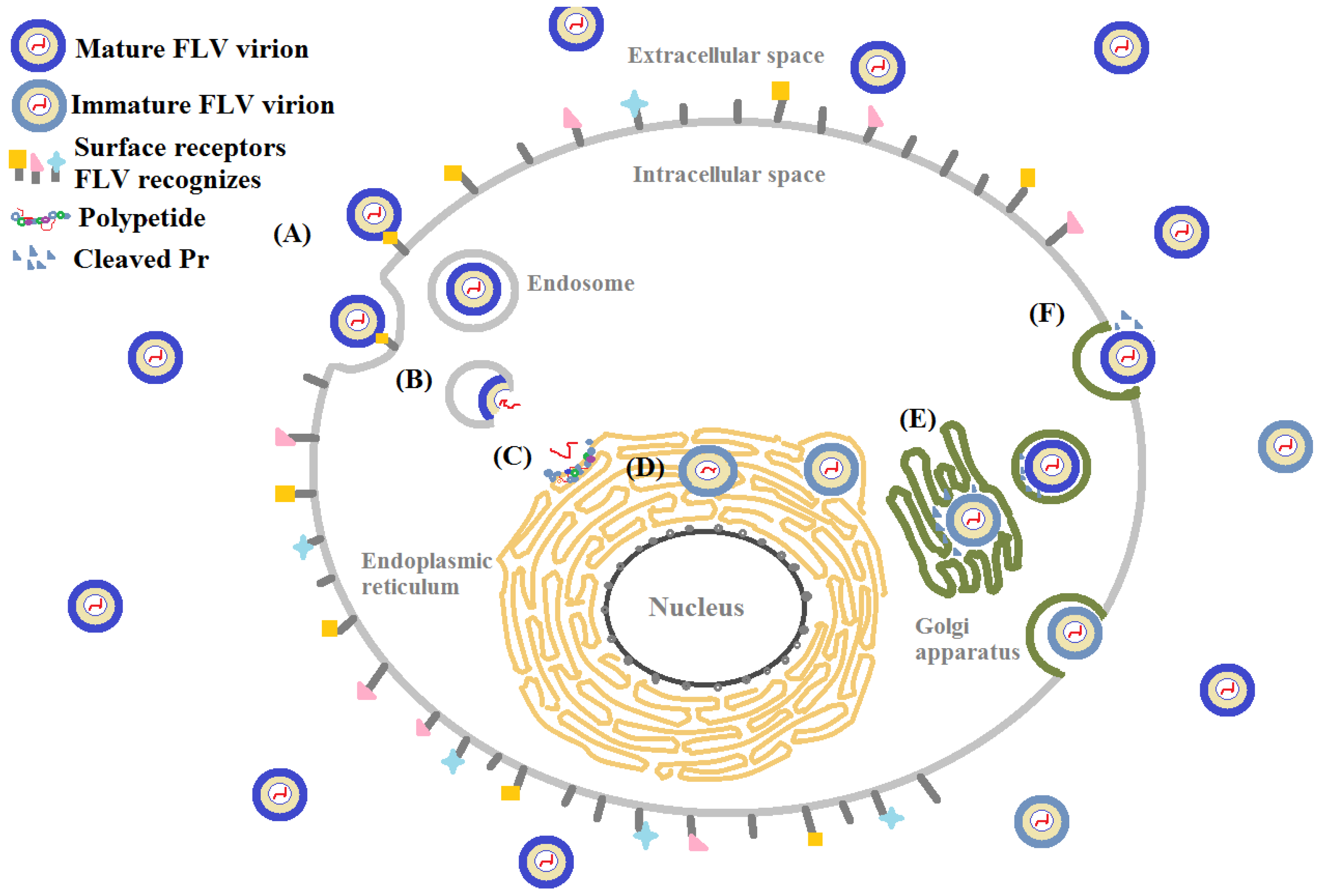 Pharmaceuticals 10 00044 g002