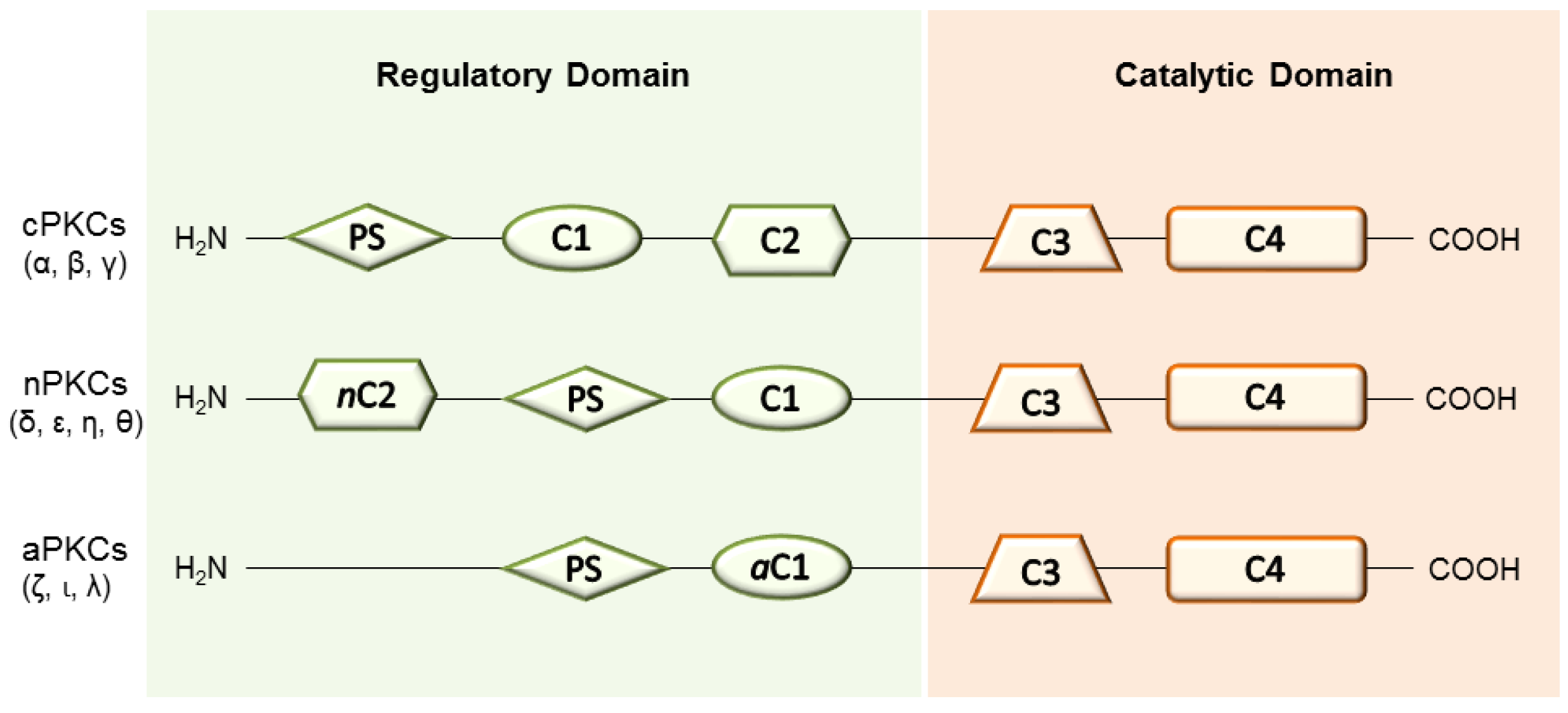 Pharmaceuticals 10 00046 g001