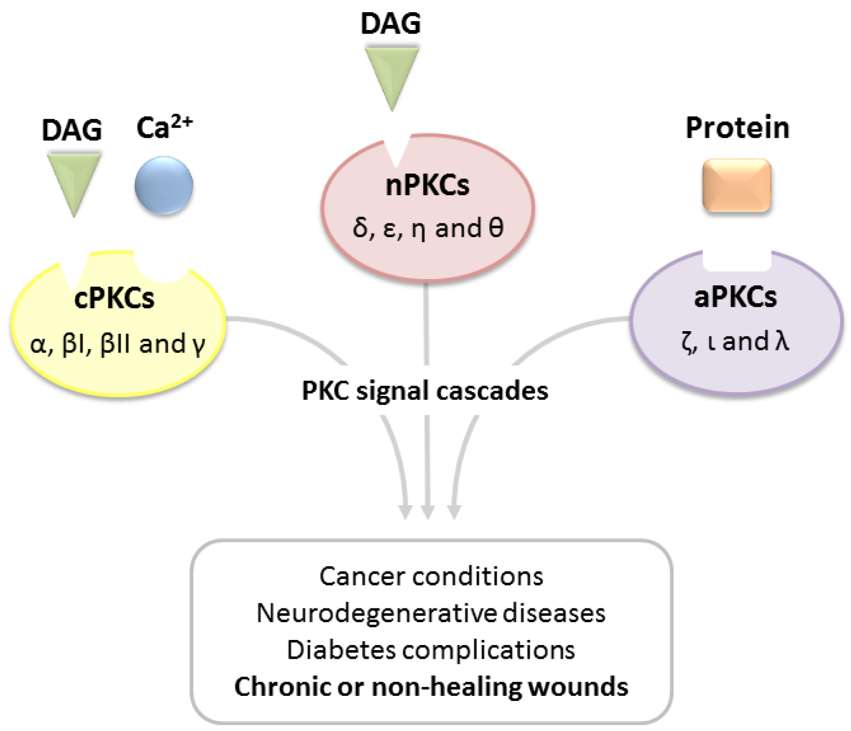 Pharmaceuticals 10 00046 g002