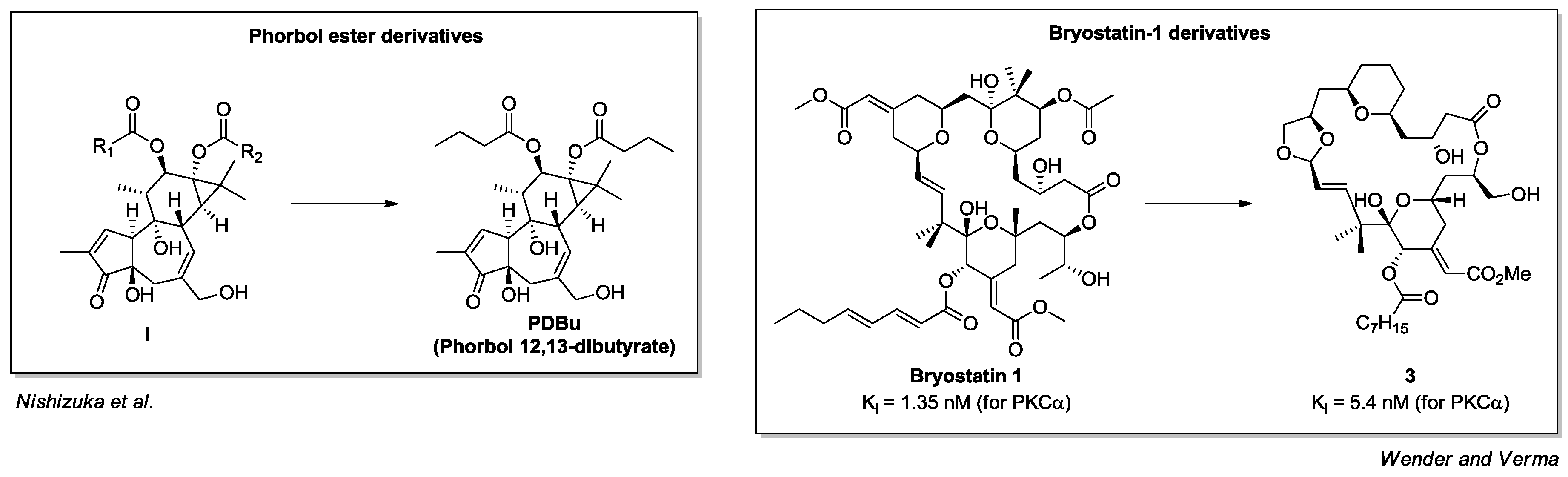 Pharmaceuticals 10 00046 g007