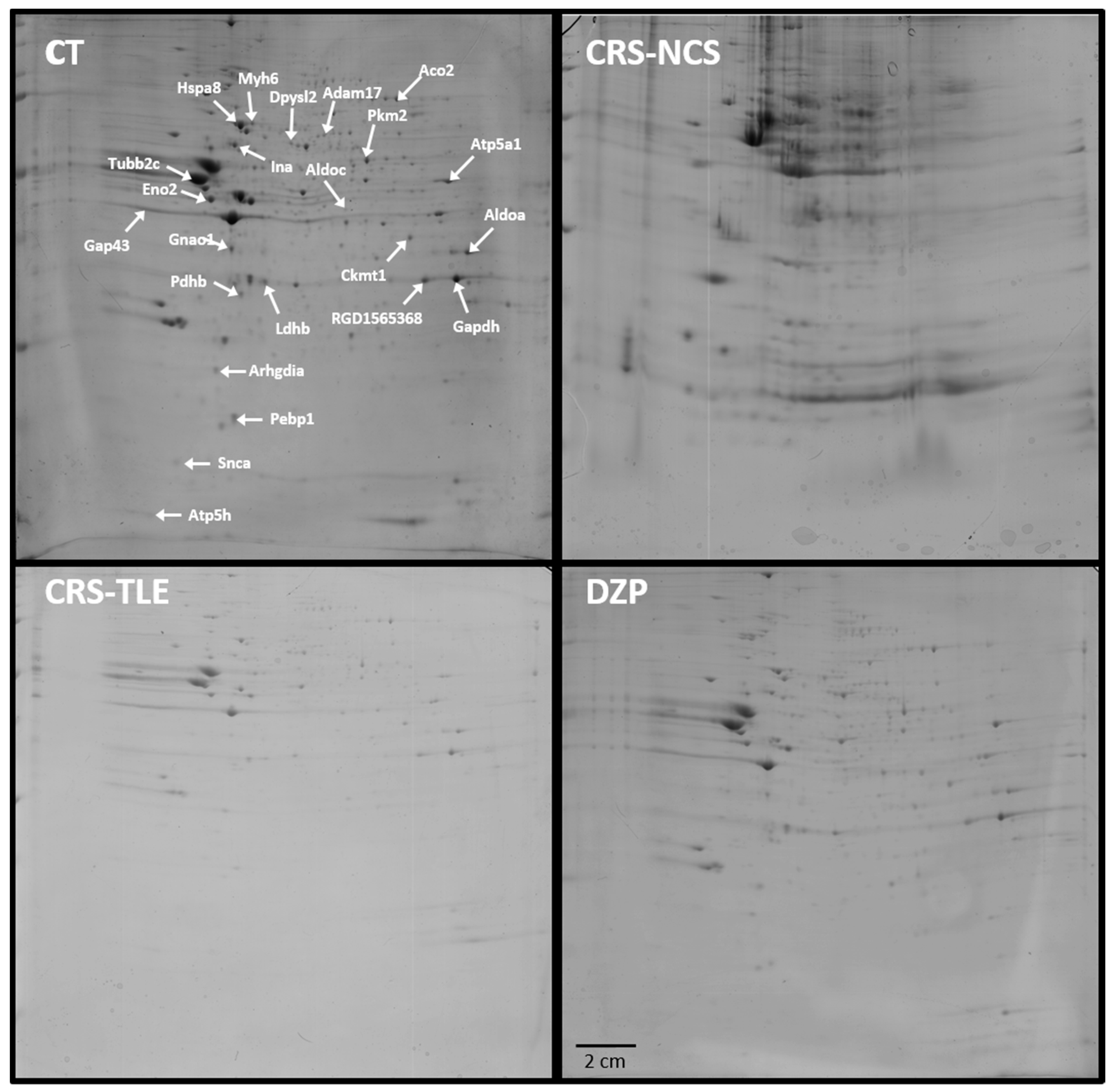 Pharmaceuticals 10 00067 g001