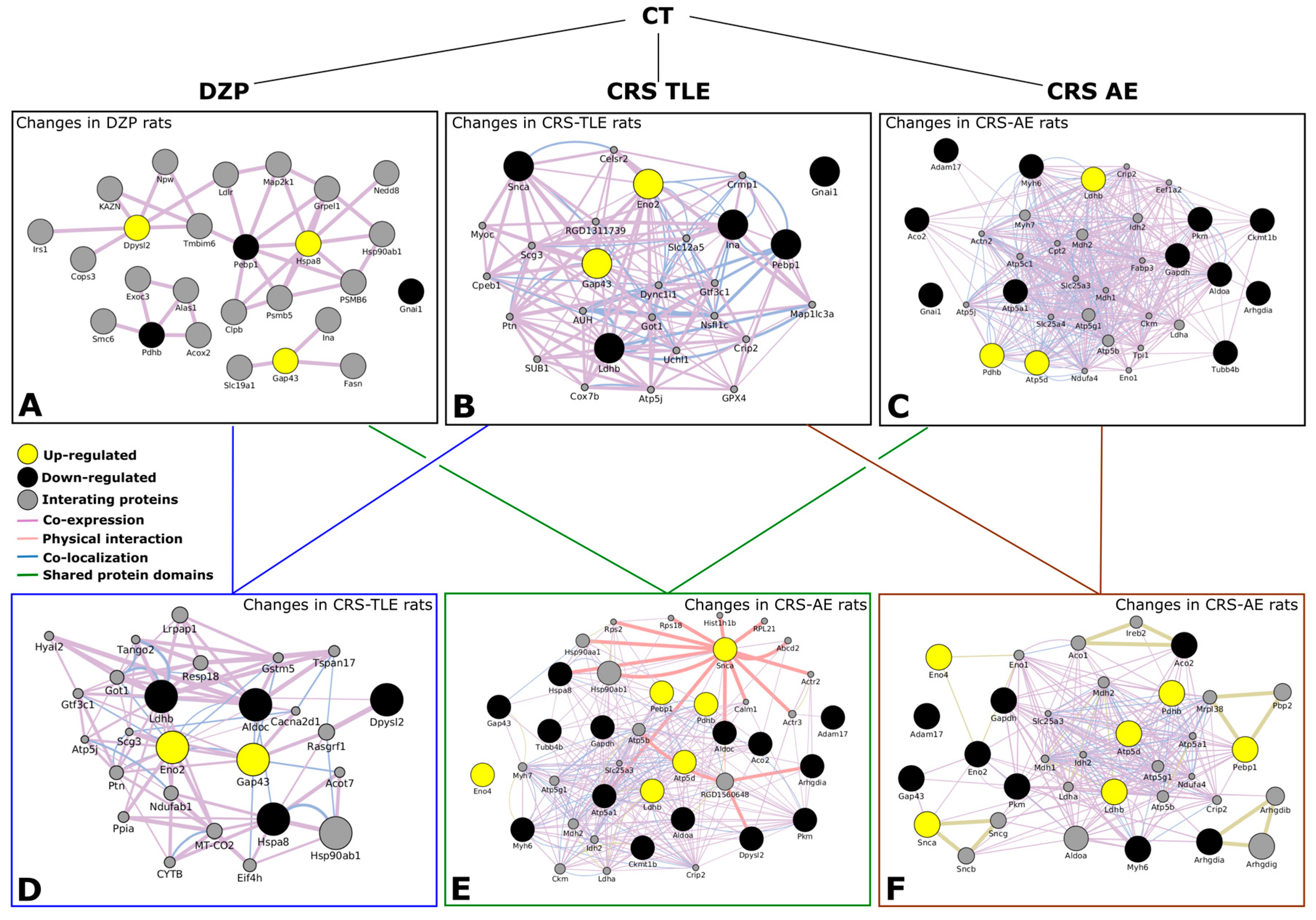 Pharmaceuticals 10 00067 g002