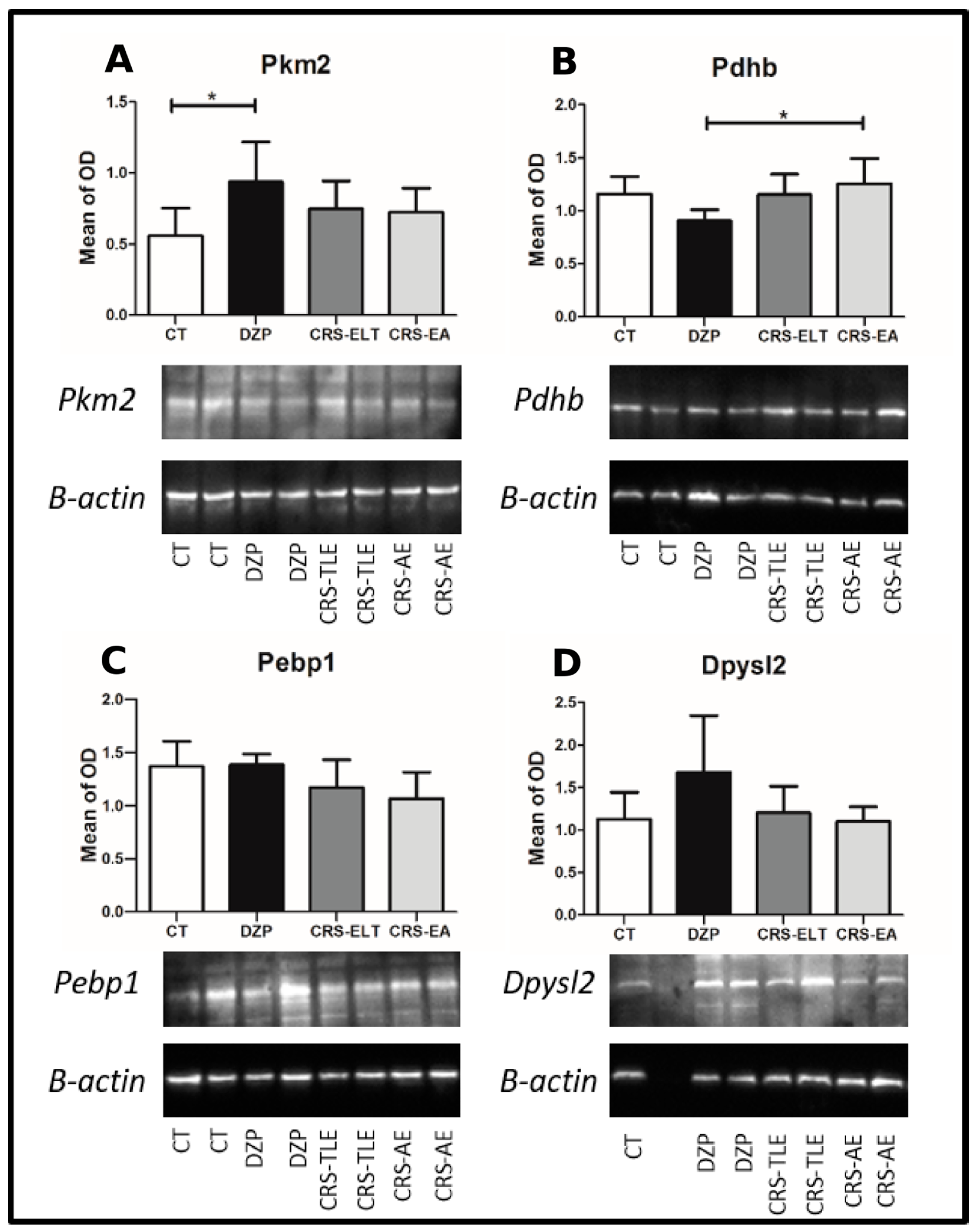 Pharmaceuticals 10 00067 g005