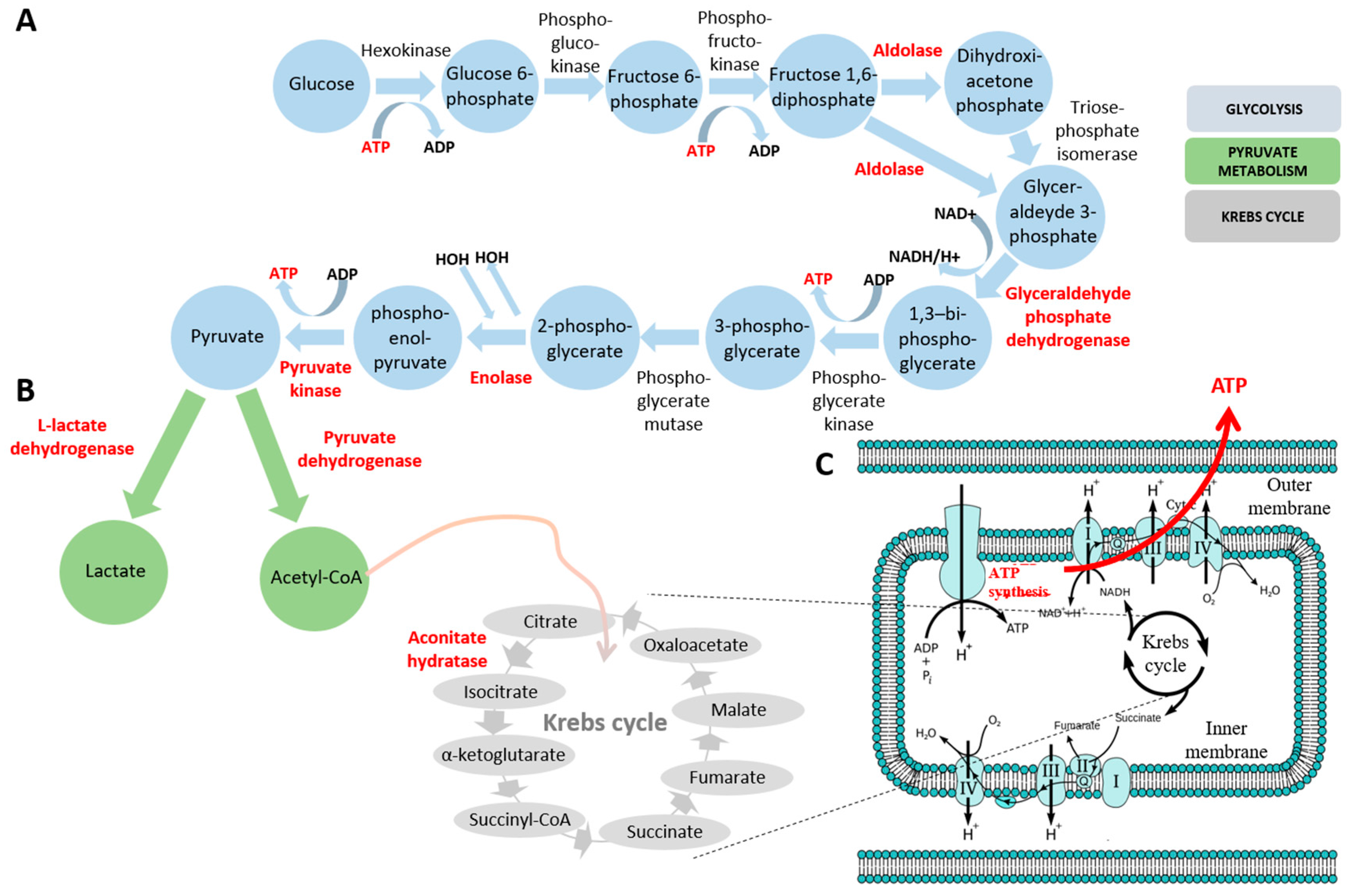 Pharmaceuticals 10 00067 g006