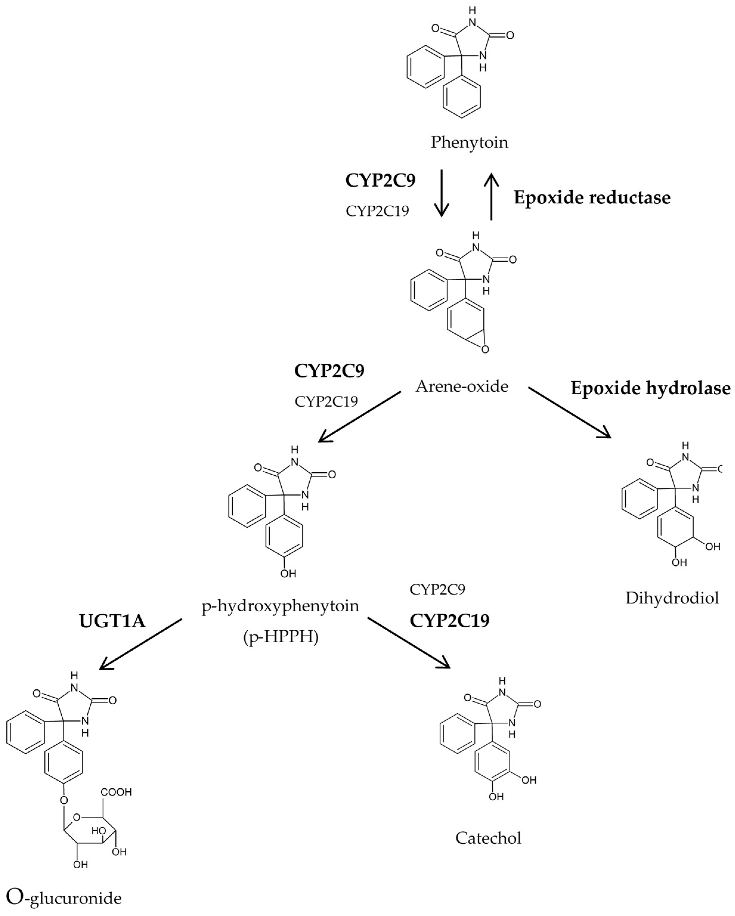 Pharmaceuticals 10 00073 g001