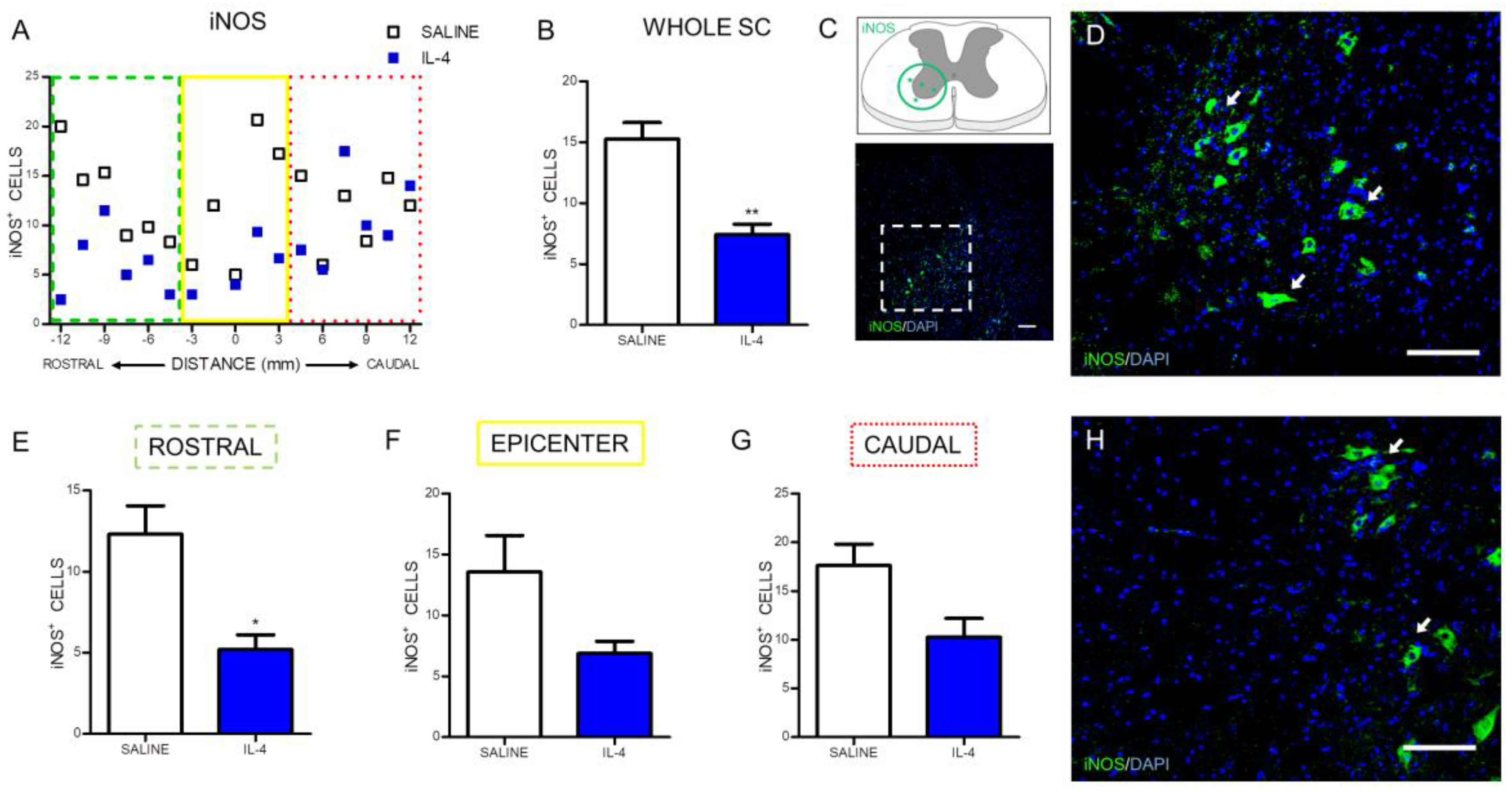 Pharmaceuticals 10 00083 g003 Pharmaceuticals 10 00083 g003