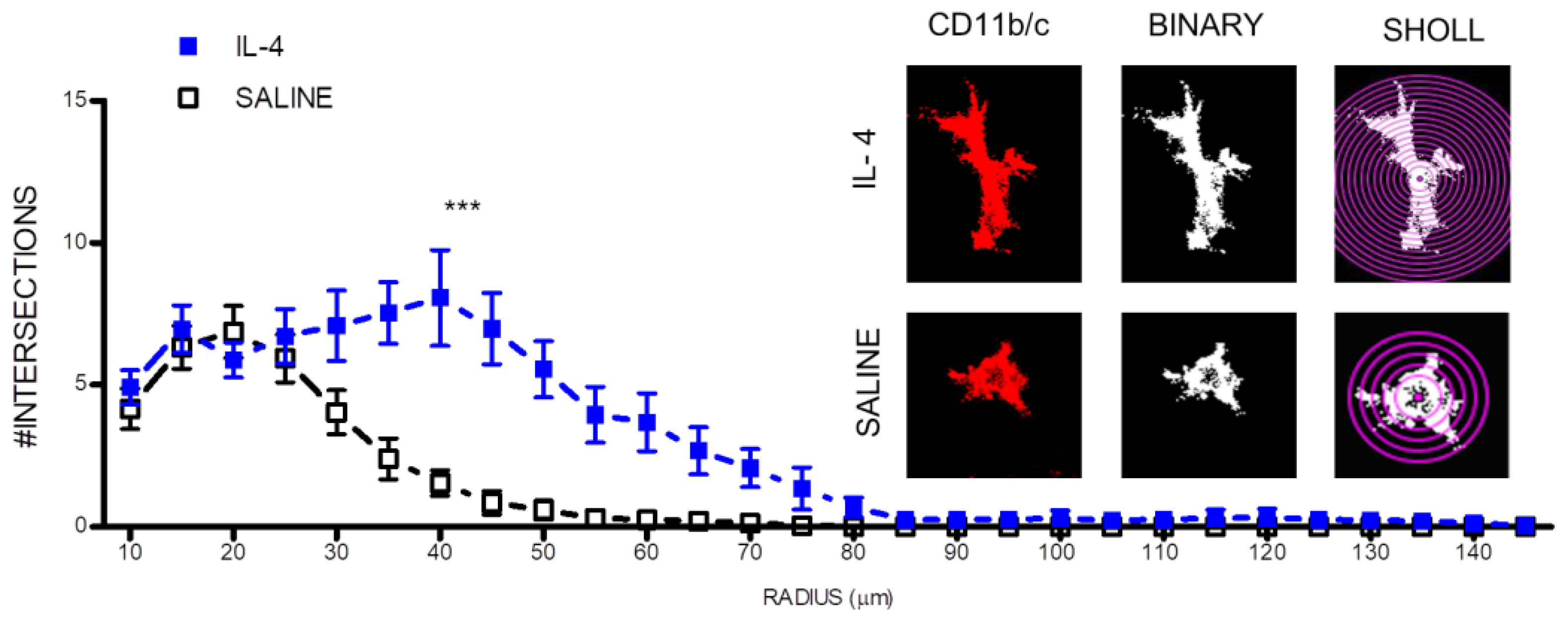 Pharmaceuticals 10 00083 g004 Pharmaceuticals 10 00083 g004