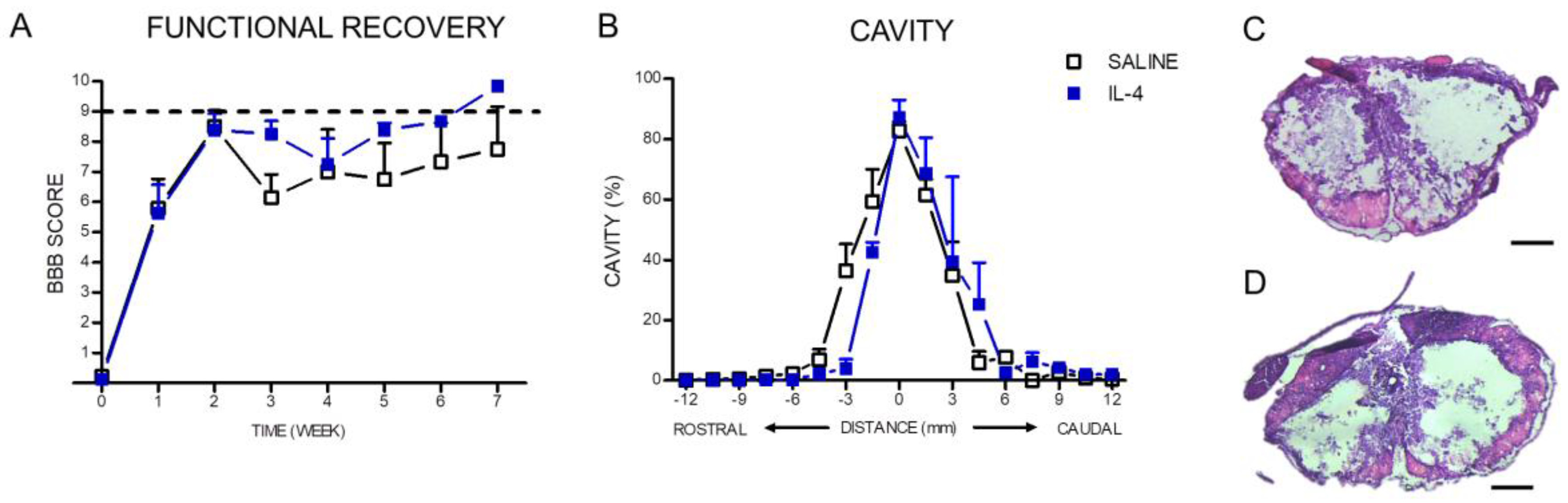 Pharmaceuticals 10 00083 g009 Pharmaceuticals 10 00083 g009