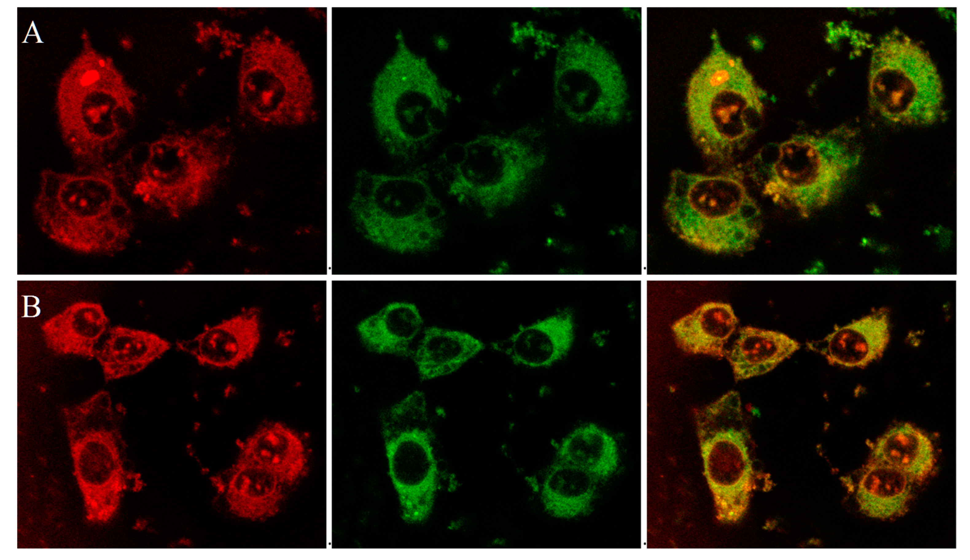 Pharmaceuticals 10 00091 g002