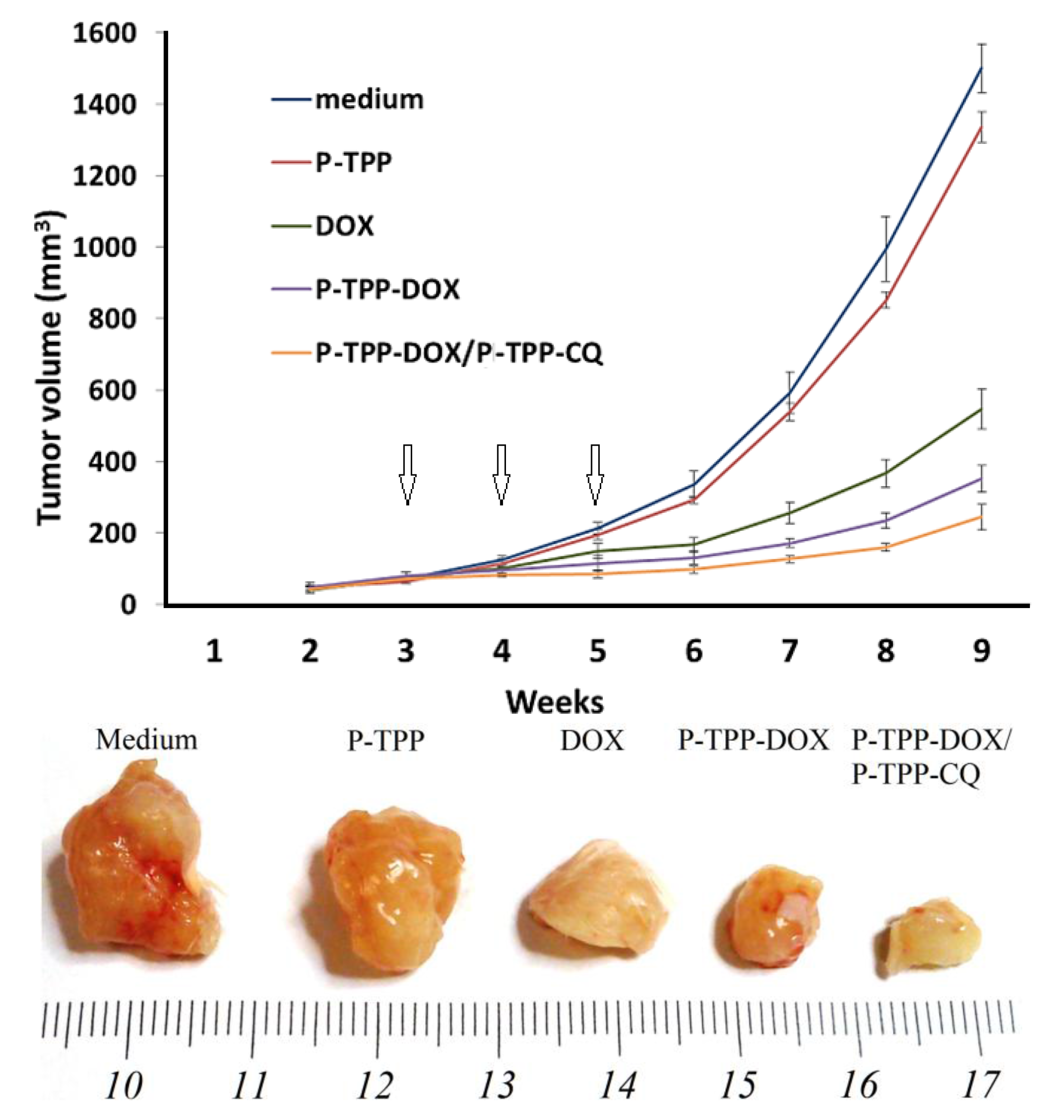 Pharmaceuticals 10 00091 g004