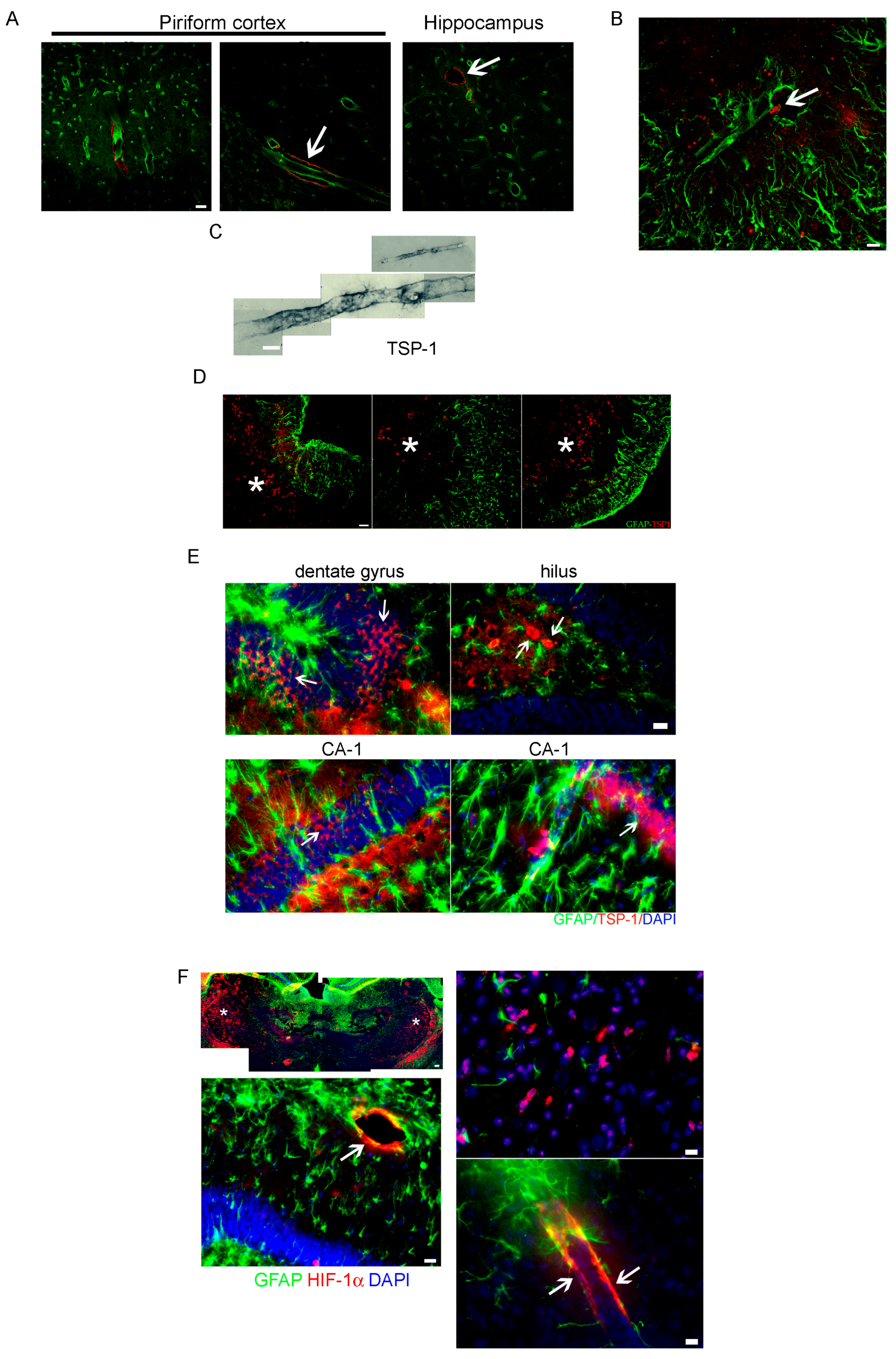 Pharmaceuticals 10 00093 g002