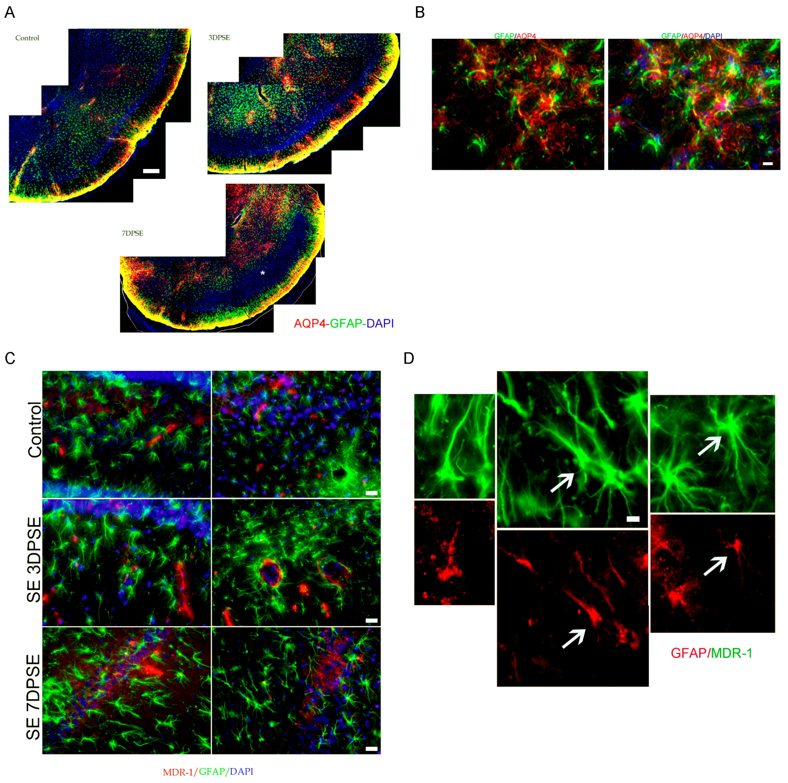 Pharmaceuticals 10 00093 g003