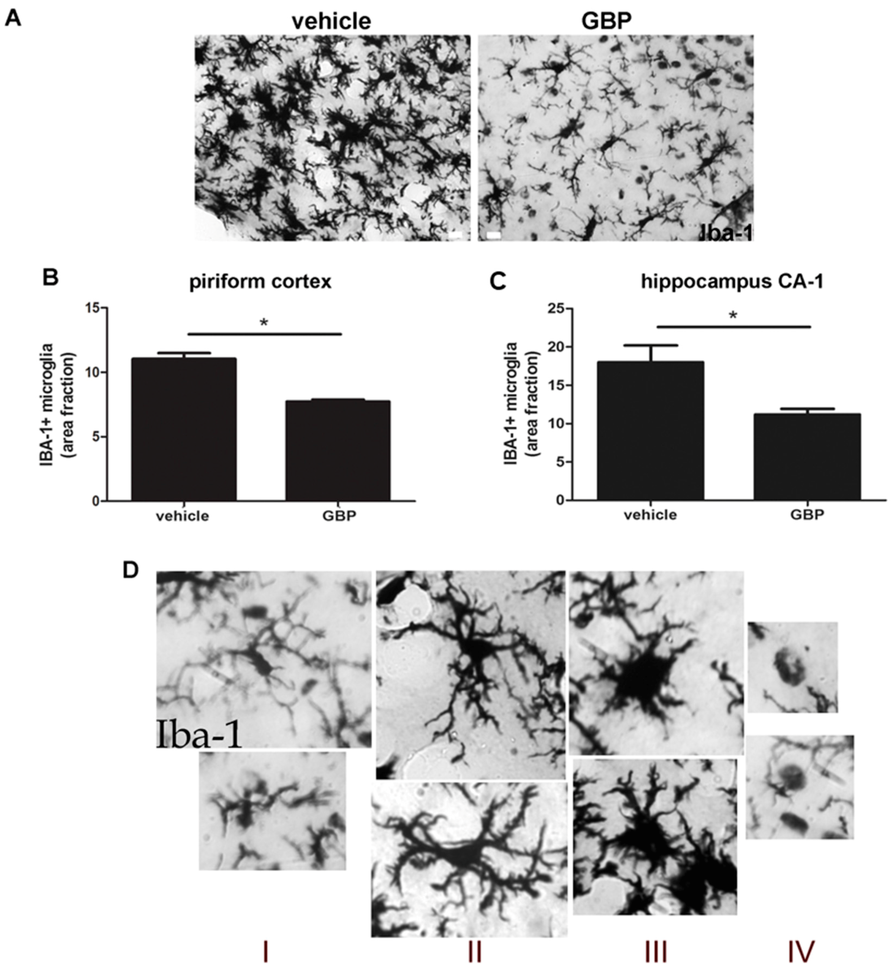 Pharmaceuticals 10 00093 g005a