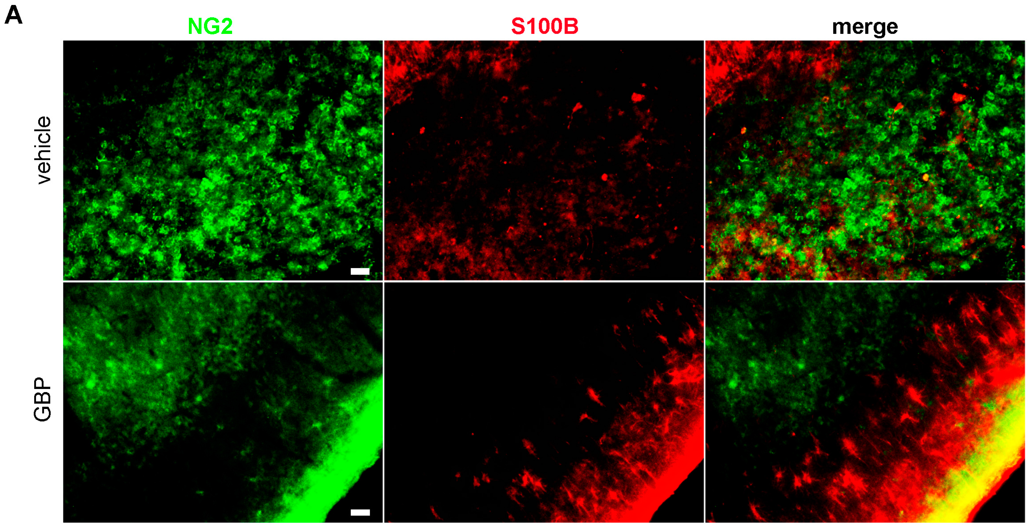 Pharmaceuticals 10 00093 g006a