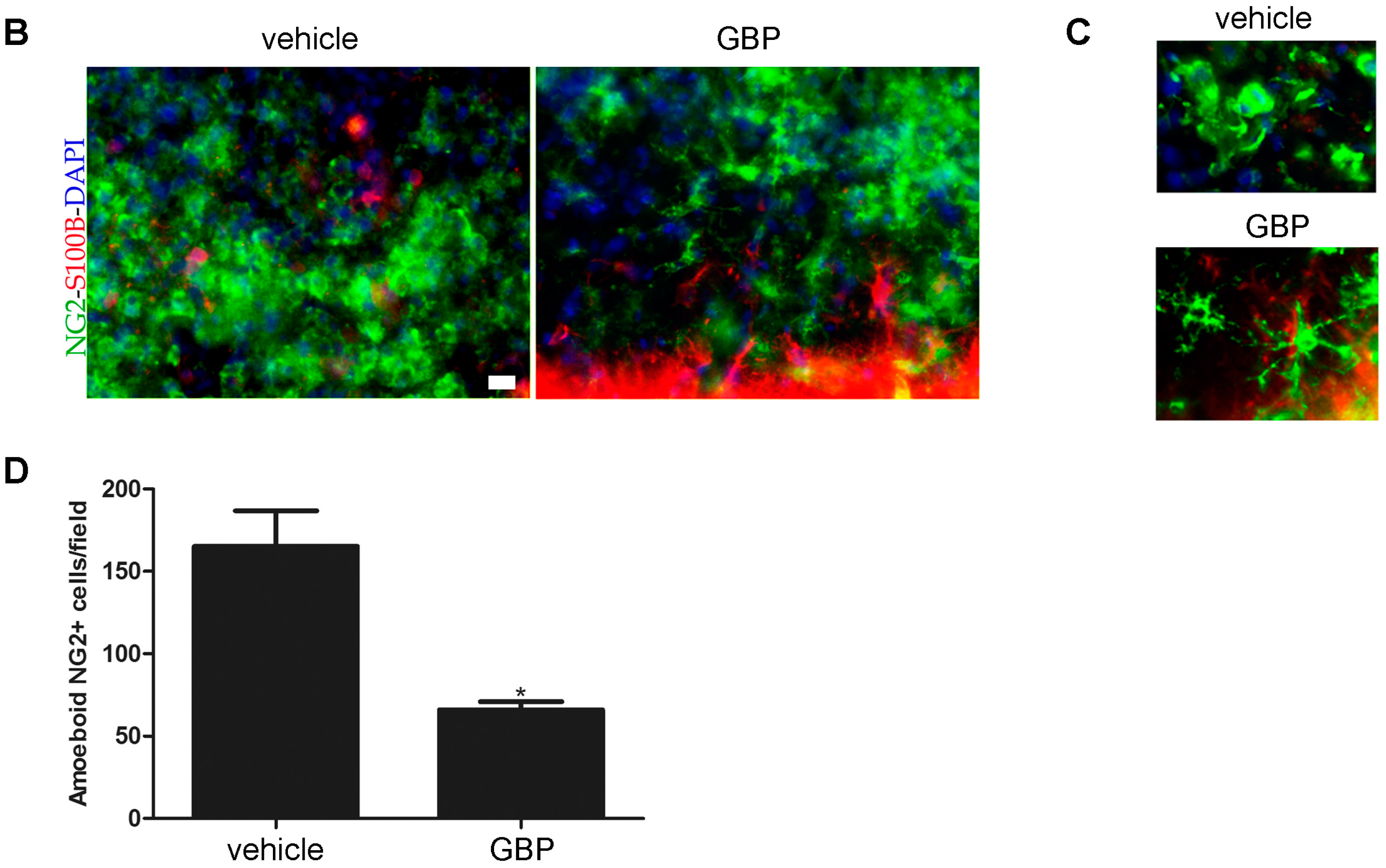 Pharmaceuticals 10 00093 g006b