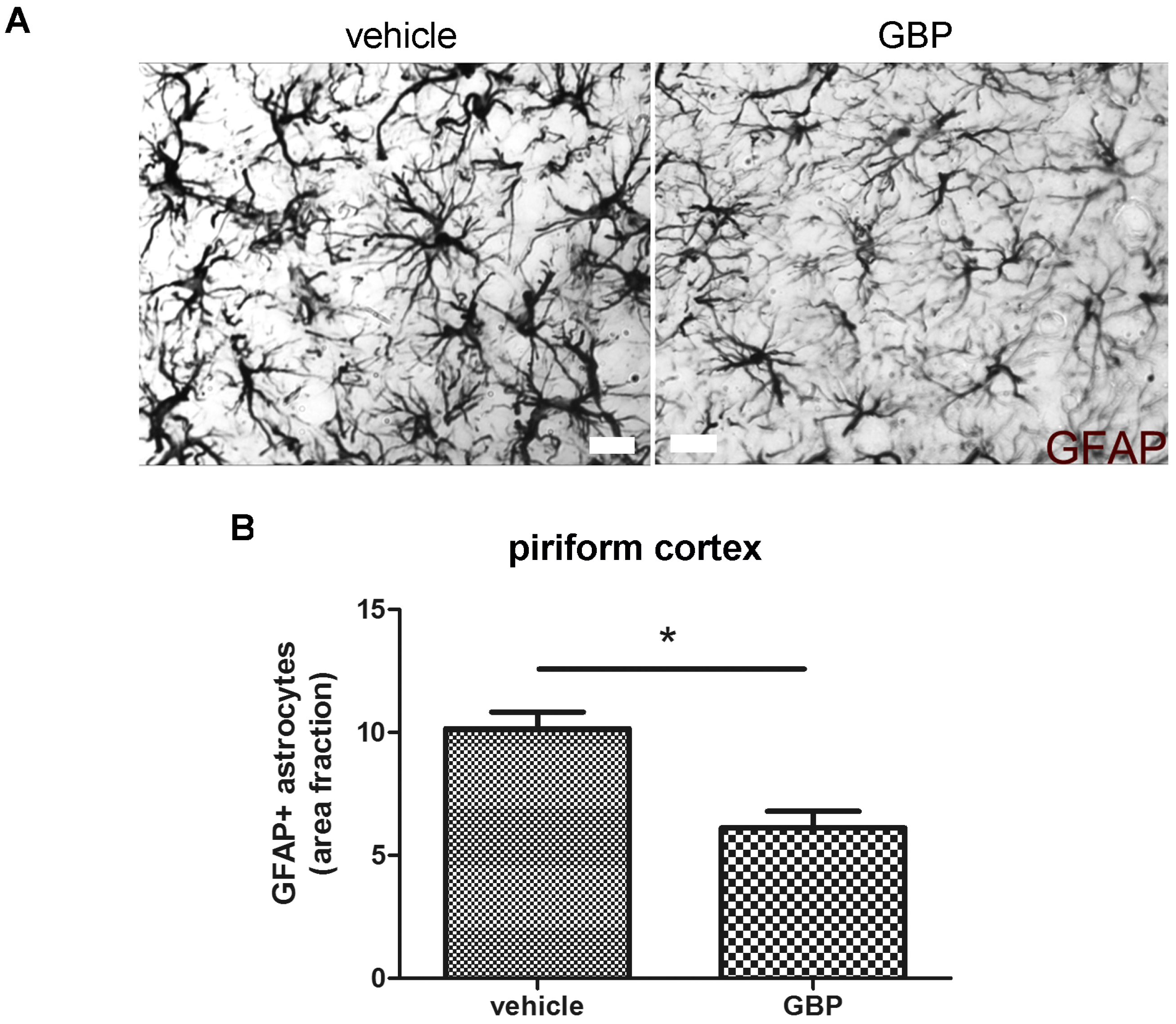 Pharmaceuticals 10 00093 g007a