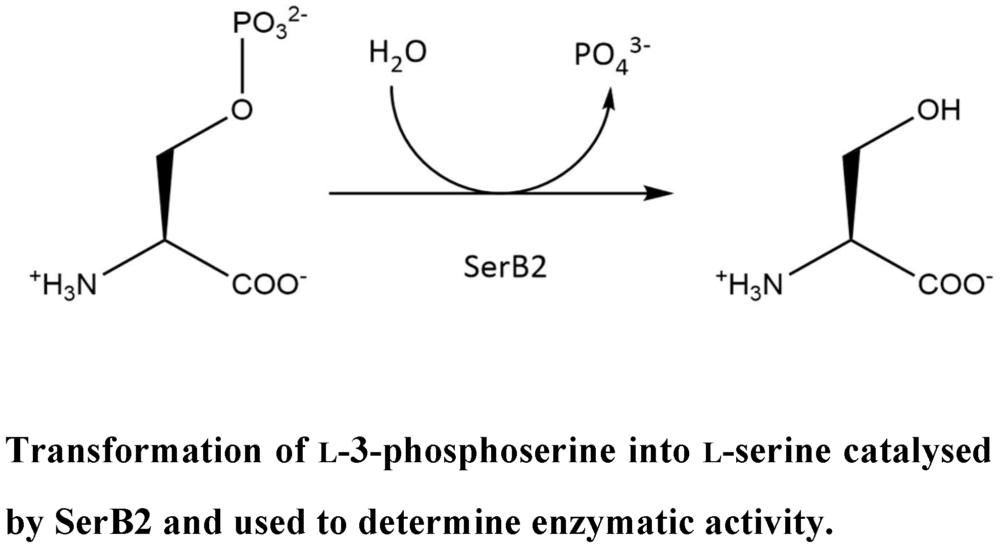 Pharmaceuticals 10 00094 i012