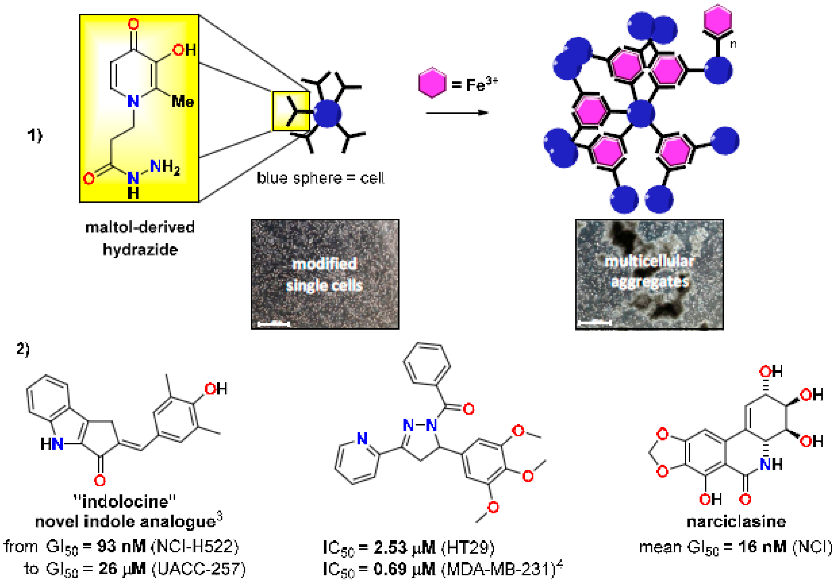 Pharmaceuticals 10 00097 i001