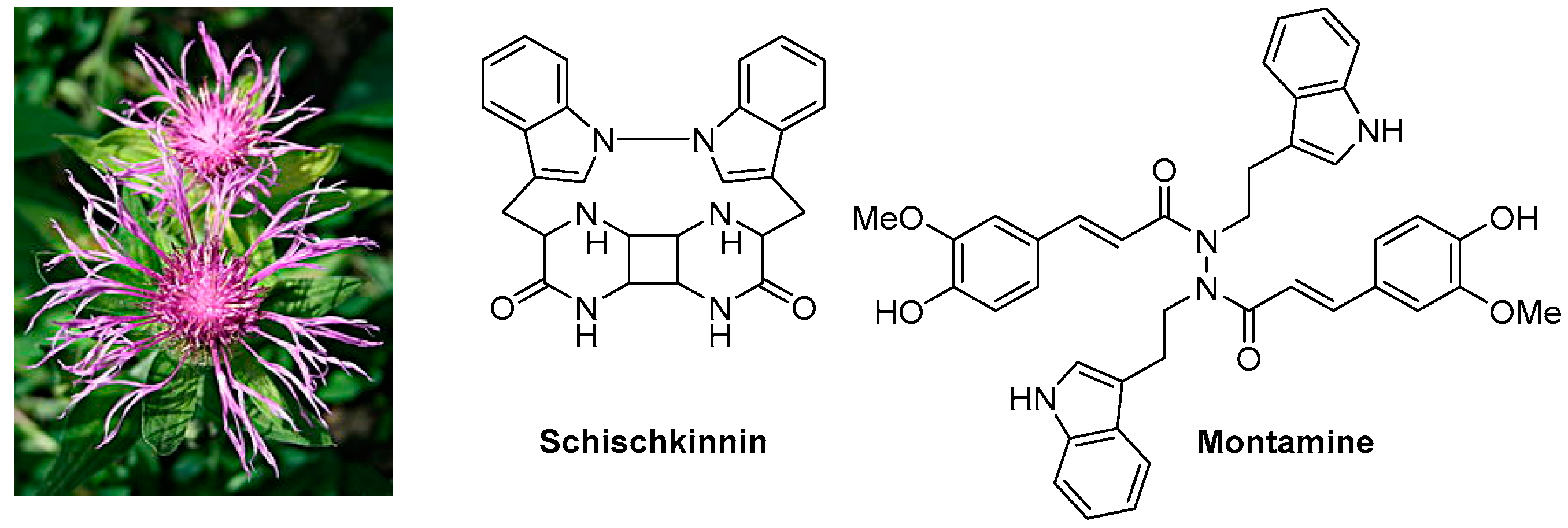 Pharmaceuticals 10 00097 i002