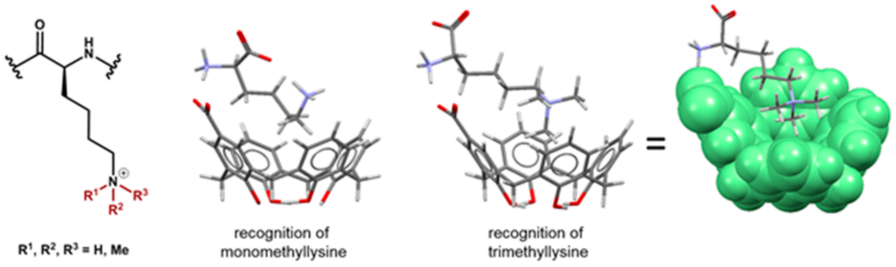 Pharmaceuticals 10 00097 i009