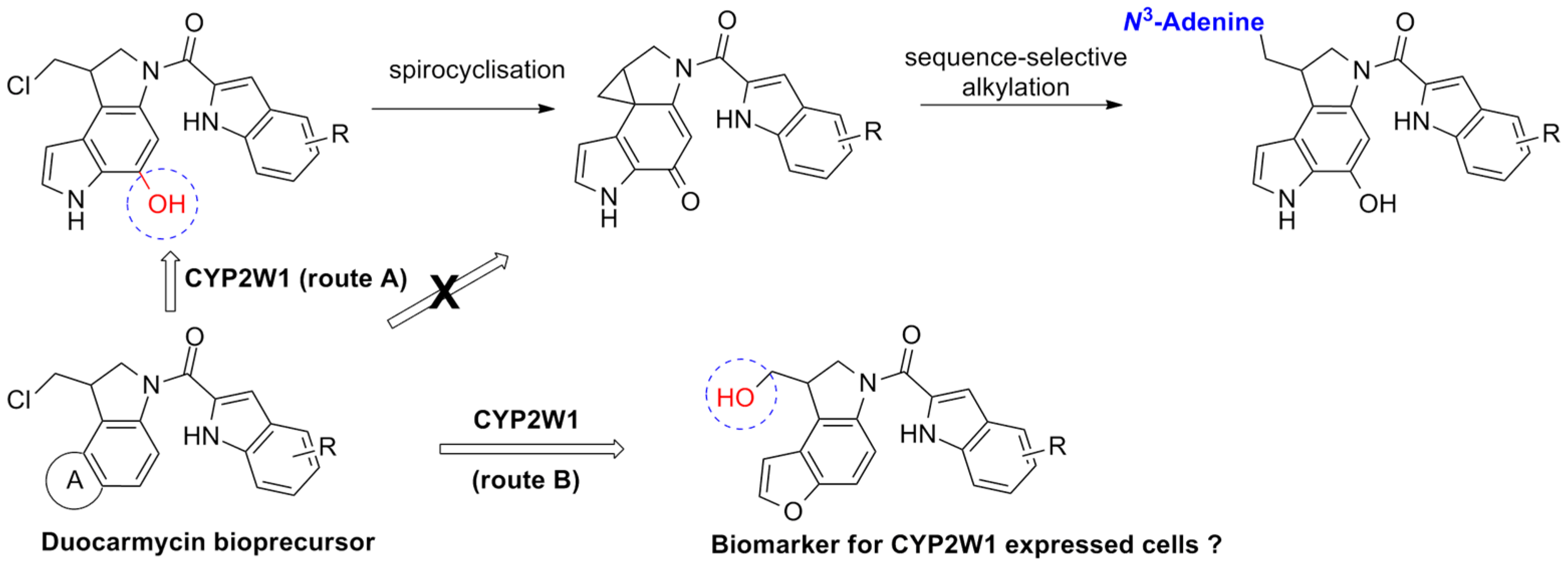 Pharmaceuticals 10 00097 i017