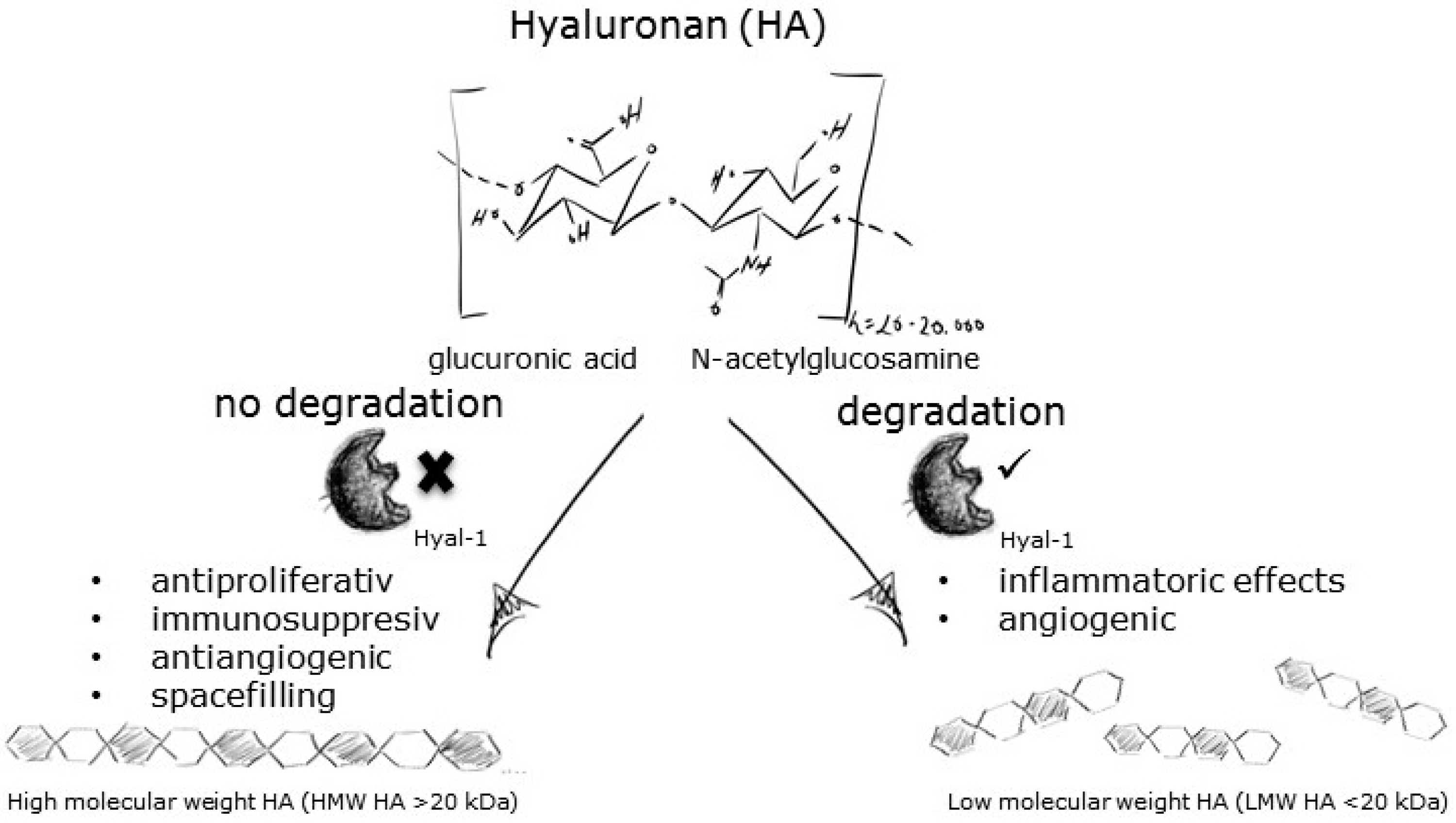 Pharmaceuticals 10 00097 i019