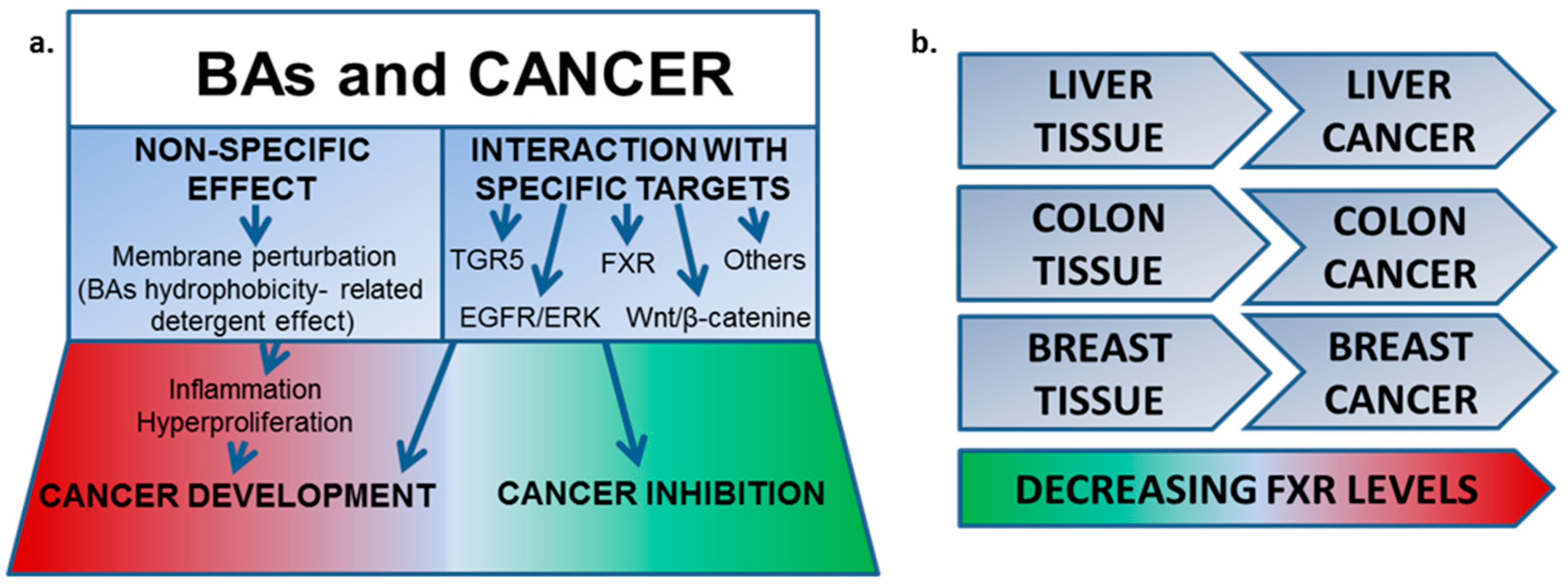 Pharmaceuticals 10 00097 i021