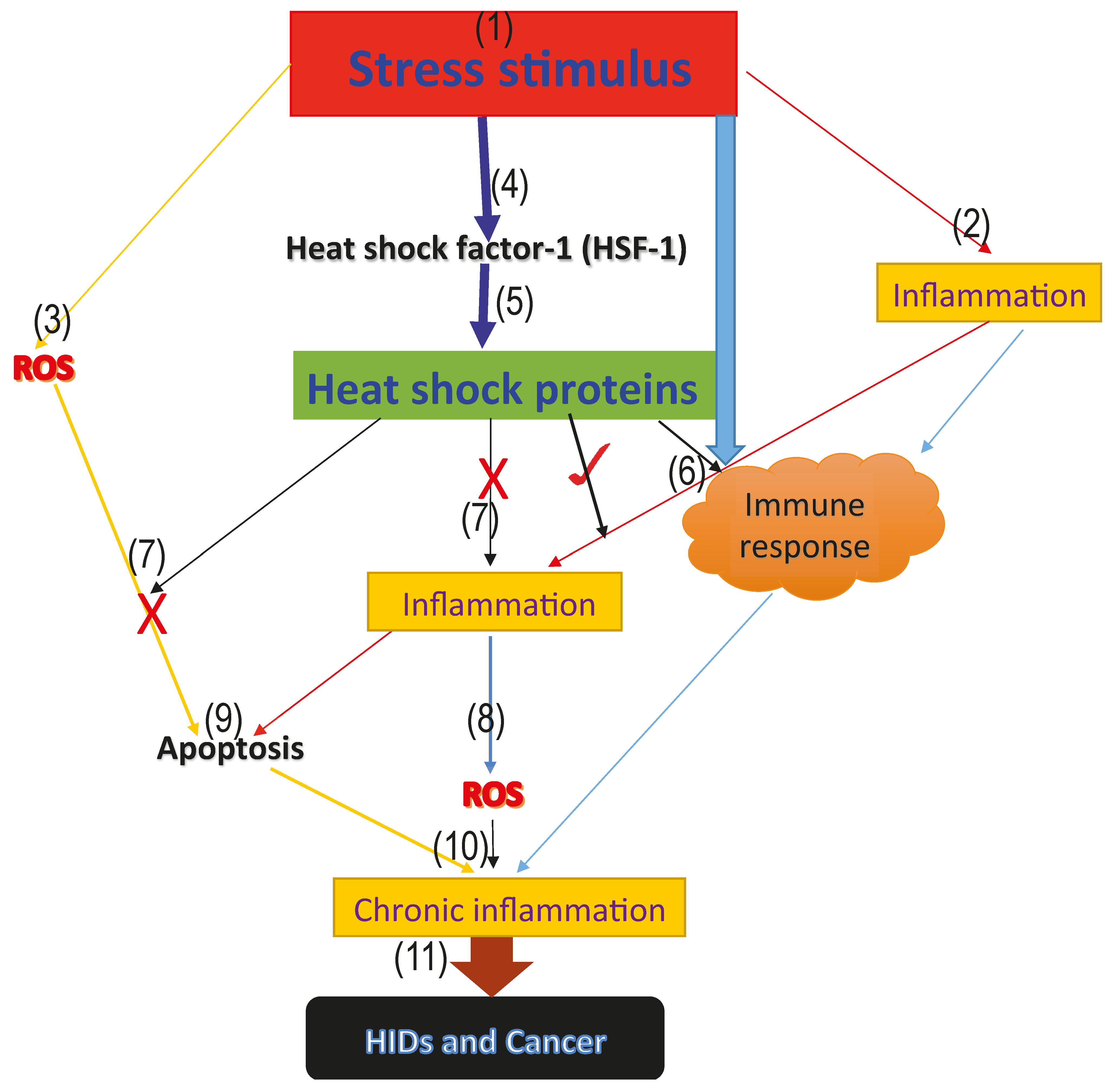 Pharmaceuticals 11 00002 g001 Pharmaceuticals 11 00002 g001