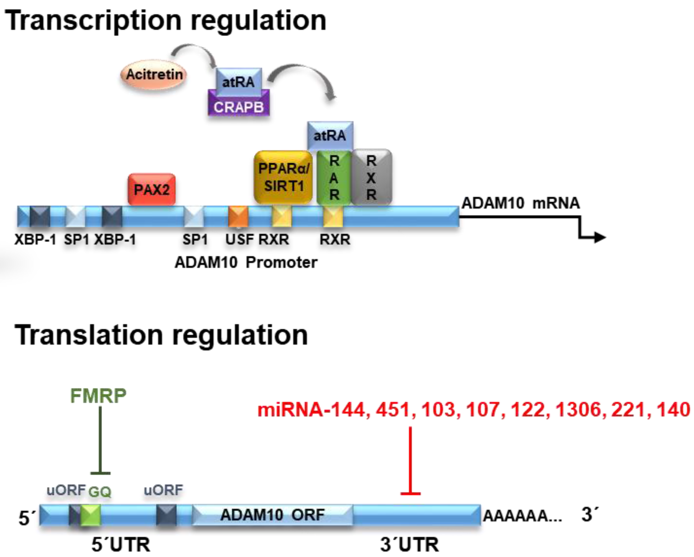 Pharmaceuticals 11 00012 g001