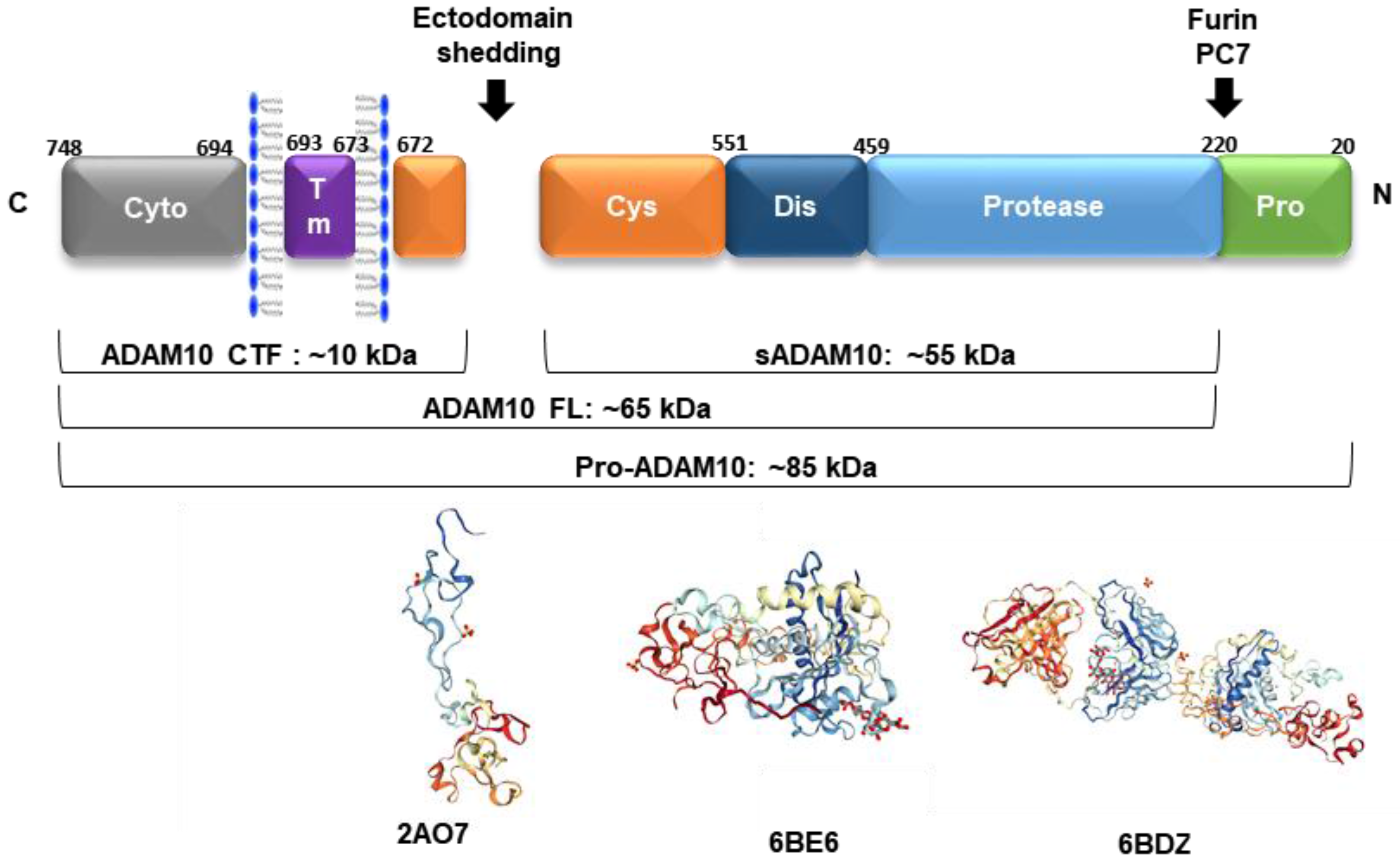 Pharmaceuticals 11 00012 g002