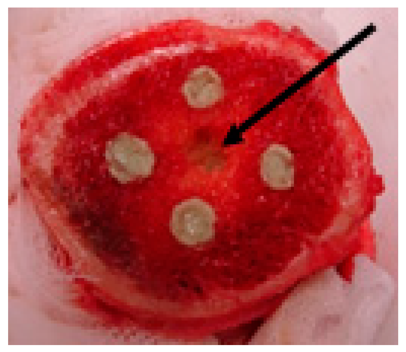 Pharmaceuticals 11 00020 g003 Pharmaceuticals 11 00020 g003