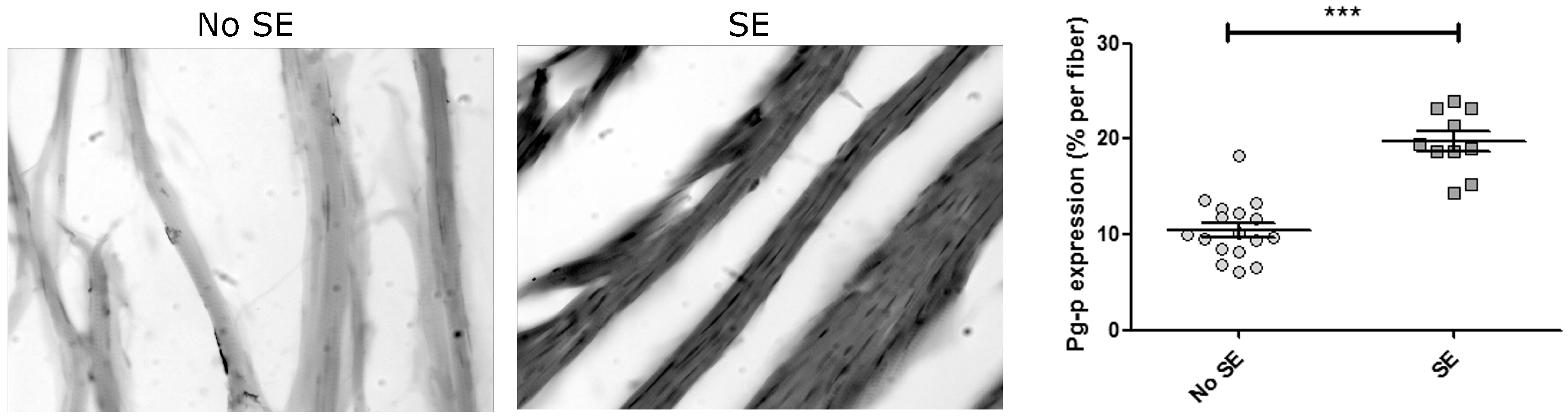 Pharmaceuticals 11 00021 g004