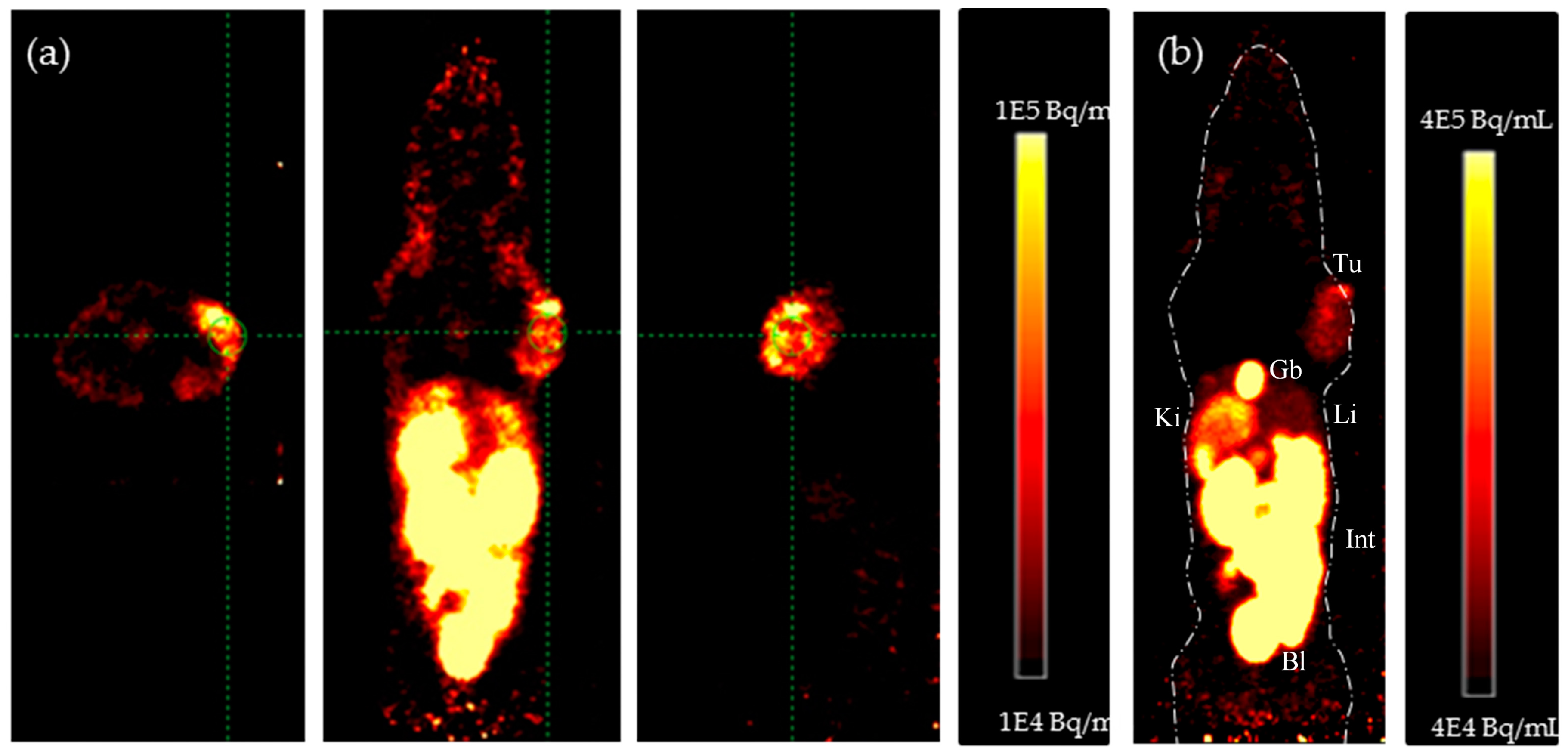 Pharmaceuticals 11 00030 g005