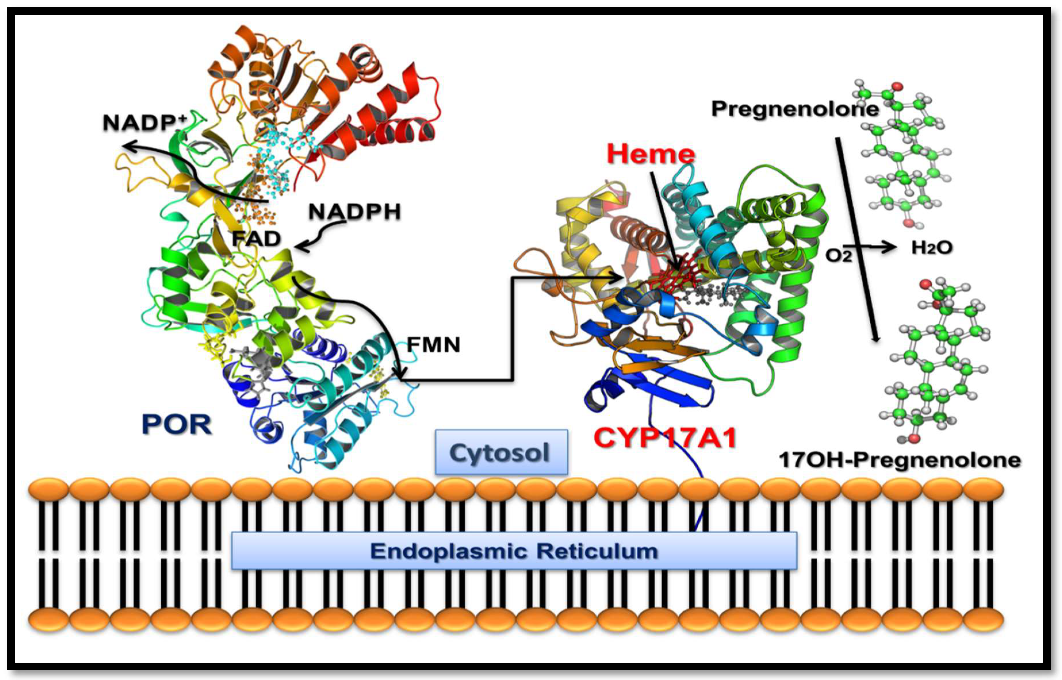 Pharmaceuticals 11 00037 g001