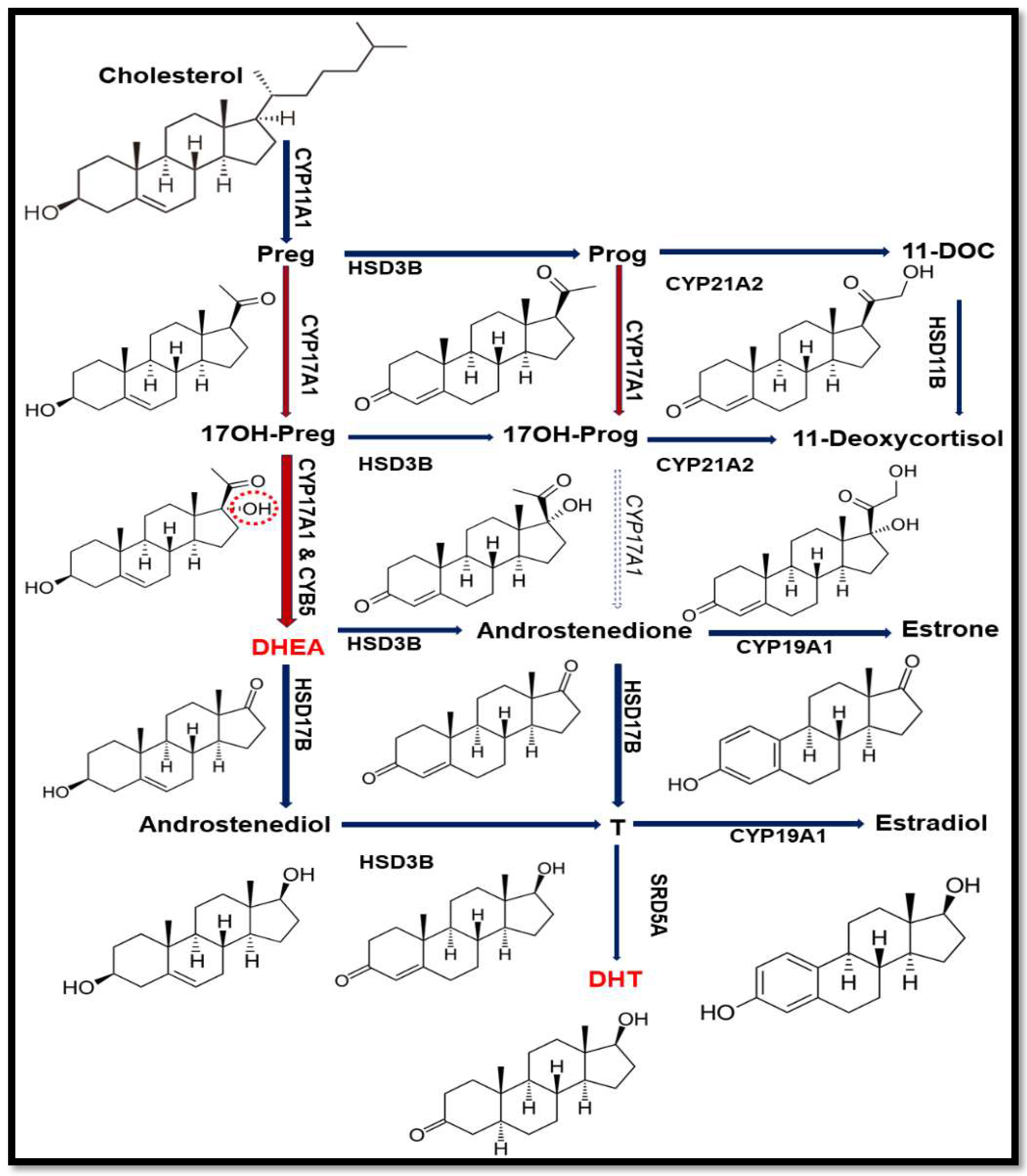 Pharmaceuticals 11 00037 g002