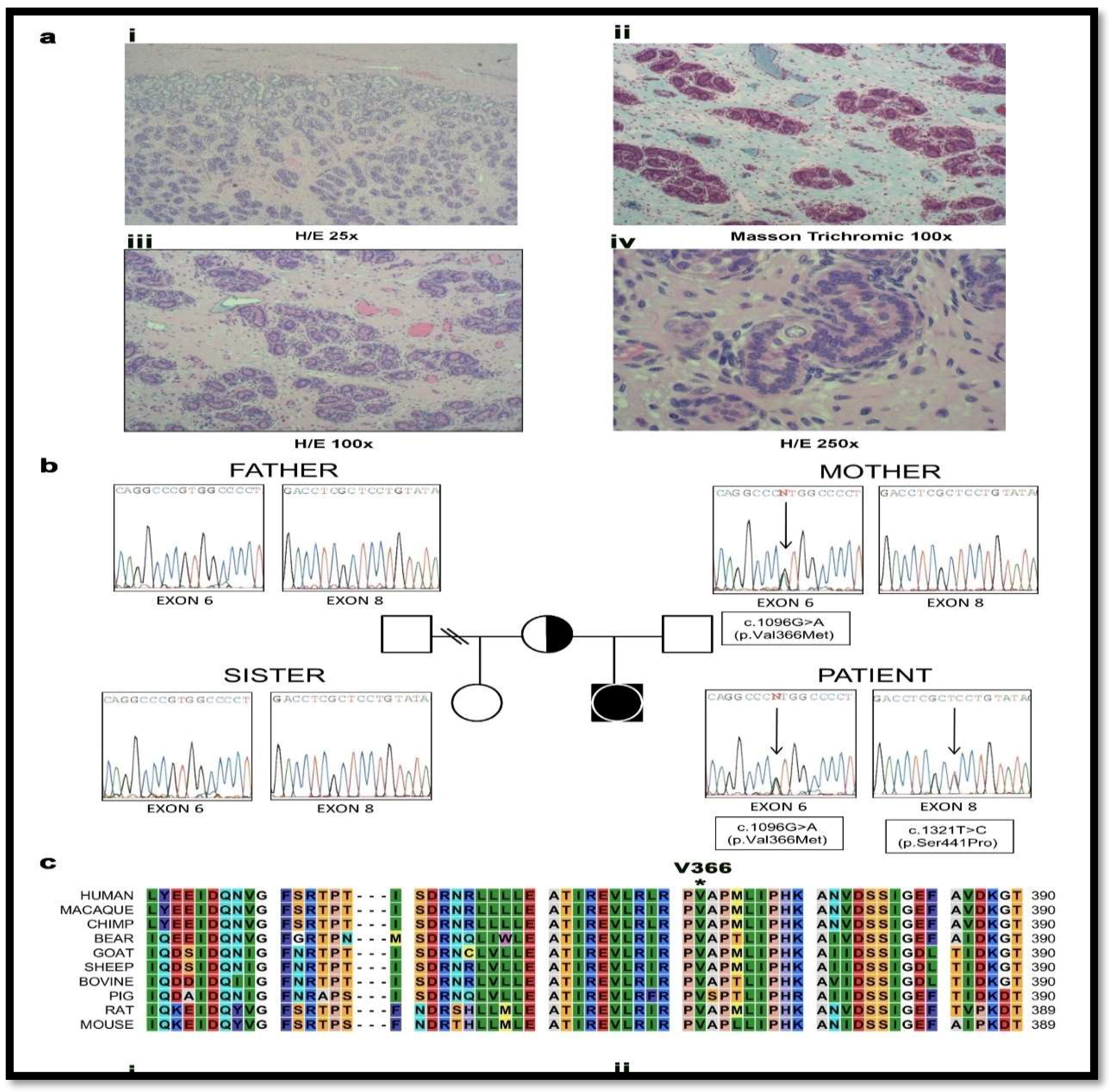 Pharmaceuticals 11 00037 g003