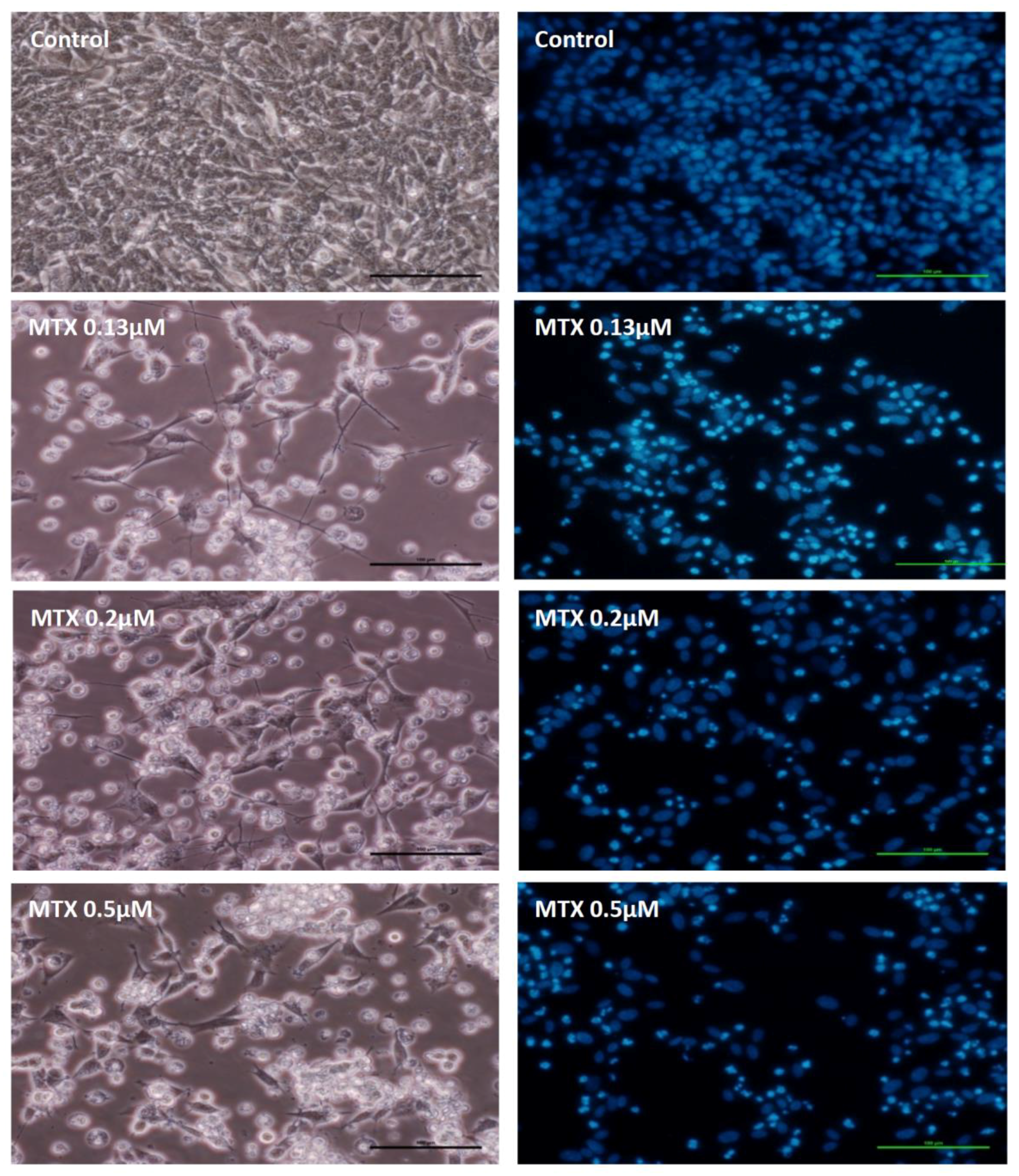 Pharmaceuticals 11 00041 g003