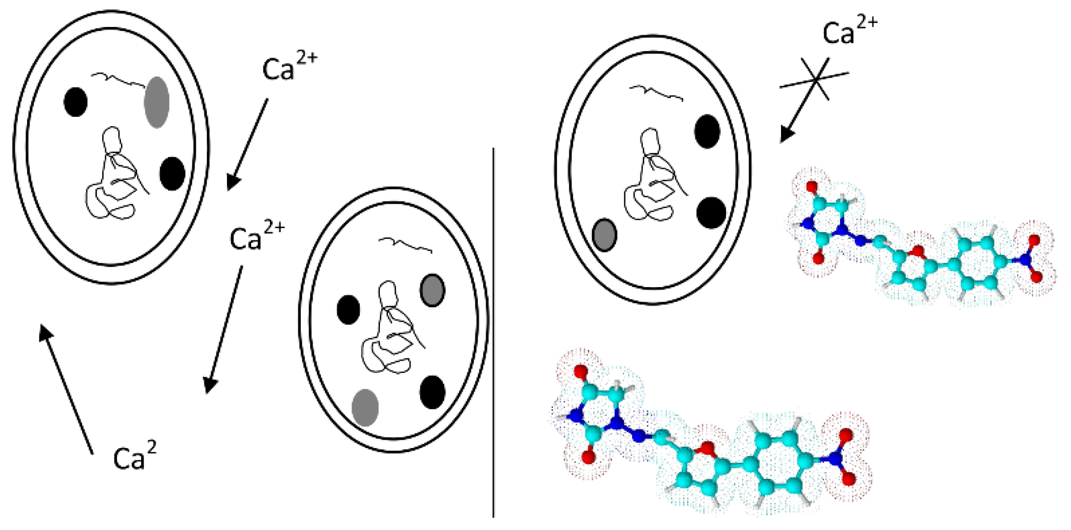 Pharmaceuticals 11 00054 sch005