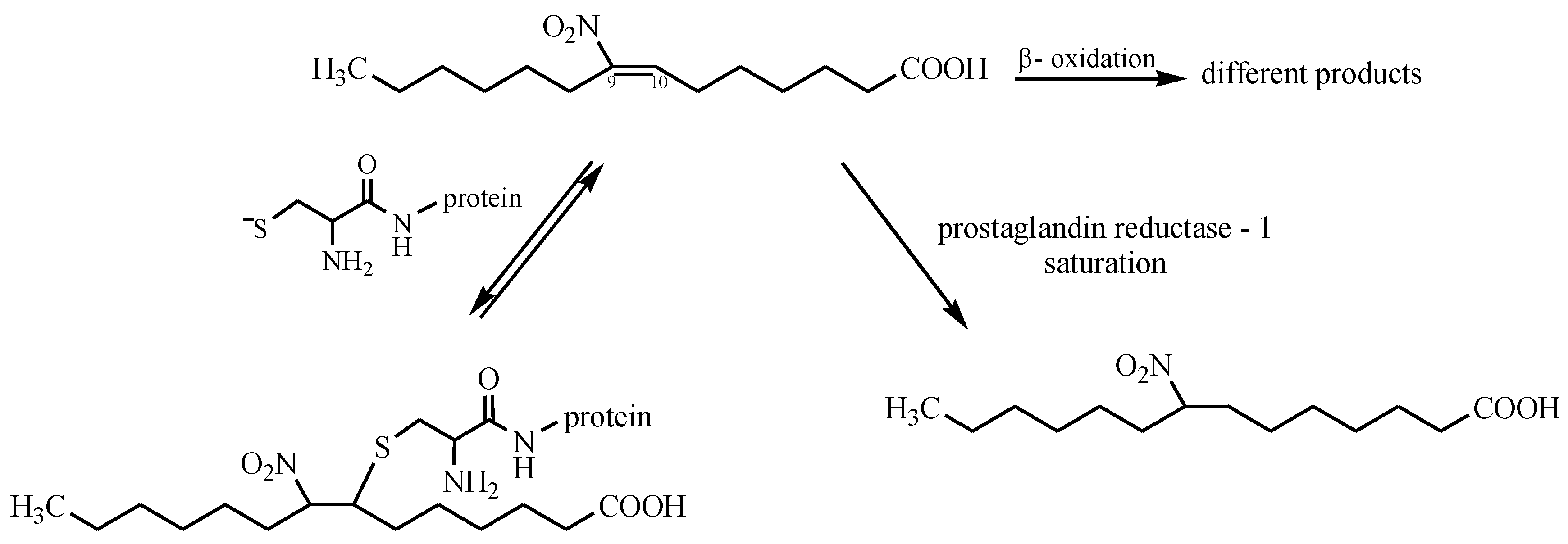 Pharmaceuticals 11 00054 sch007