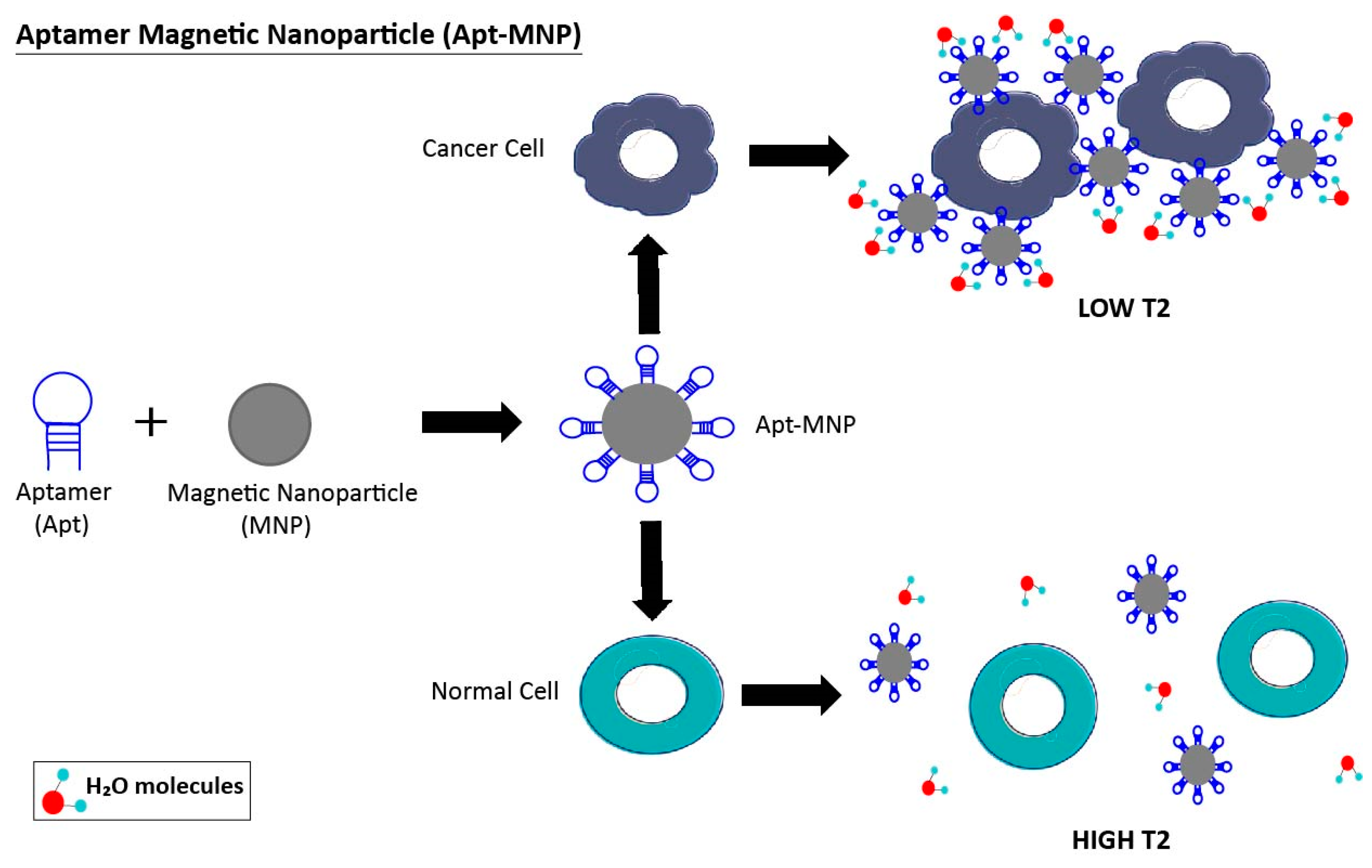 Pharmaceuticals 11 00086 g003